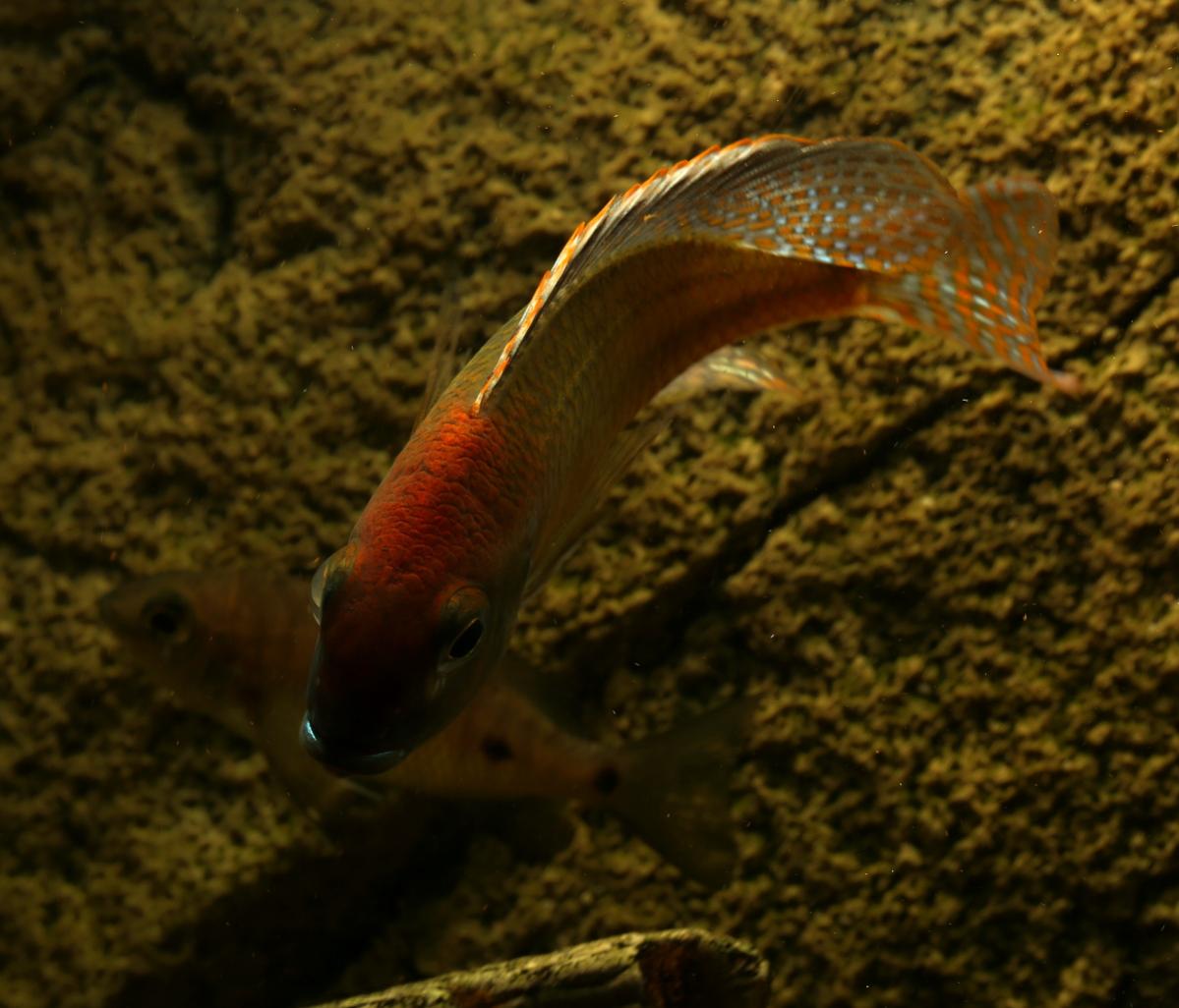 721A9390.jpg