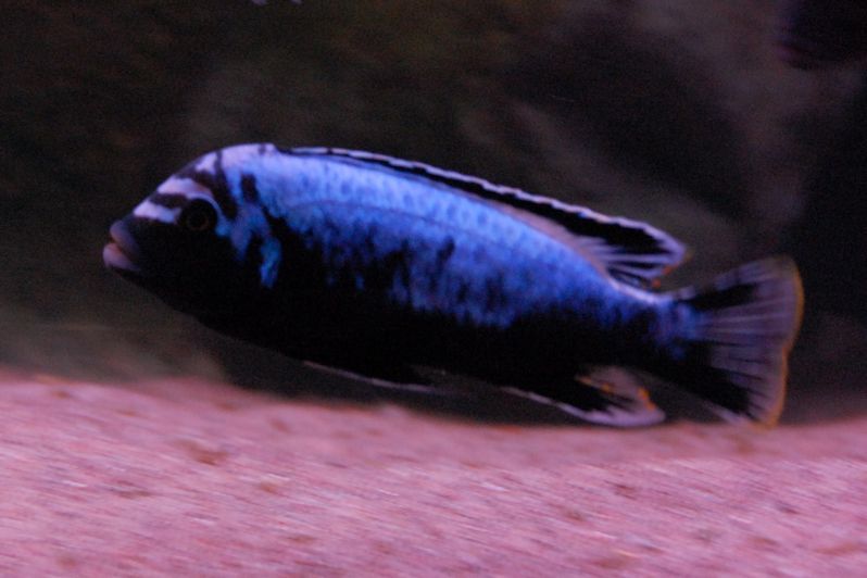 tn_DSC_0115.JPG