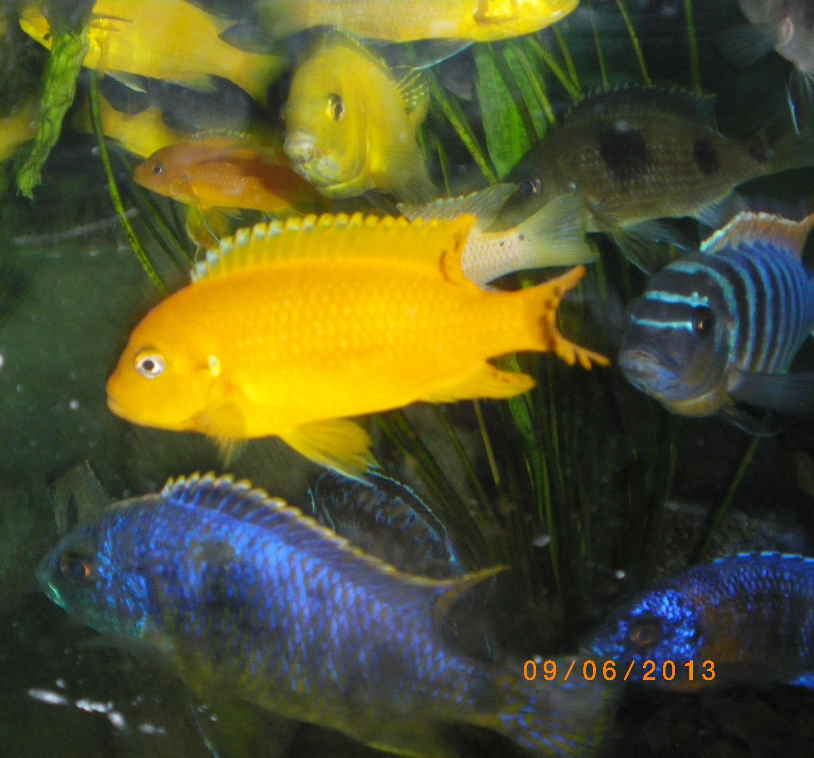 2013-06-09 2 001.jpg