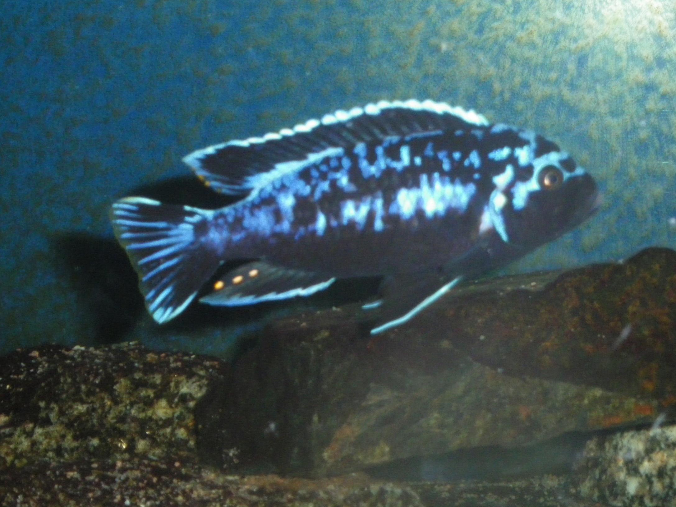 2013-06-.09 004.jpg