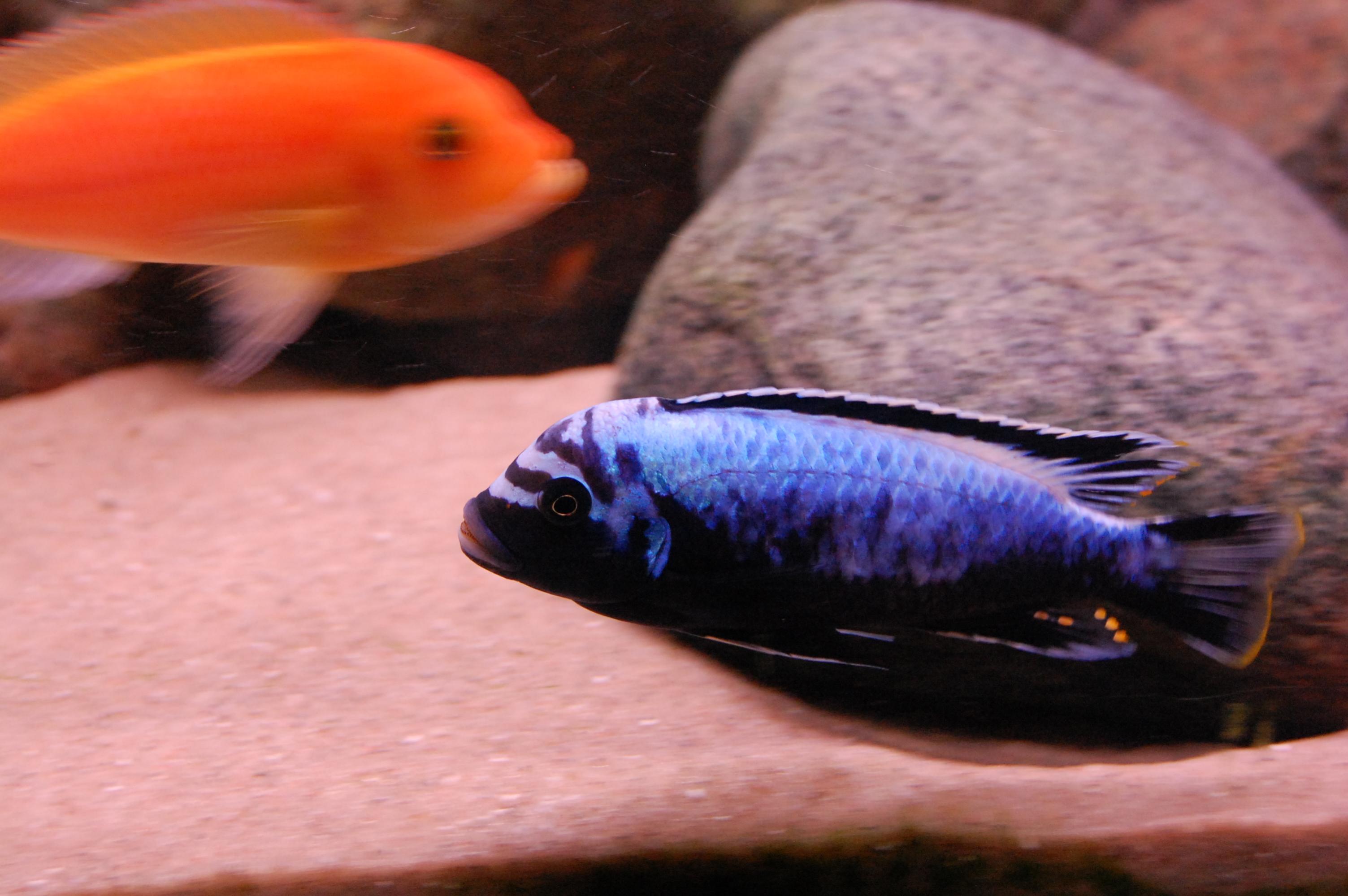 DSC_0771.jpg