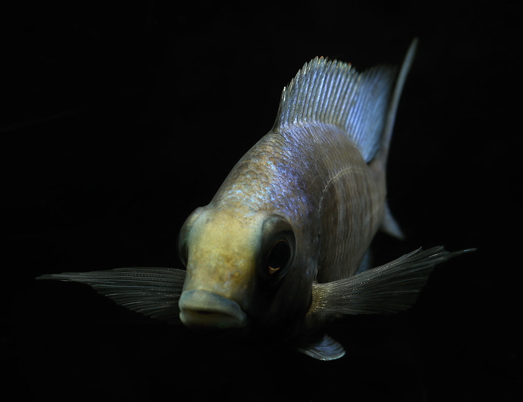 721A2836.JPG