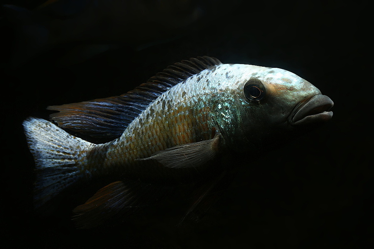 721A3021.JPG