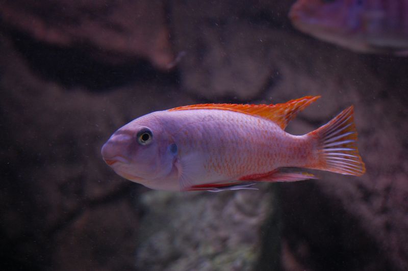 tn_DSC_0007.JPG