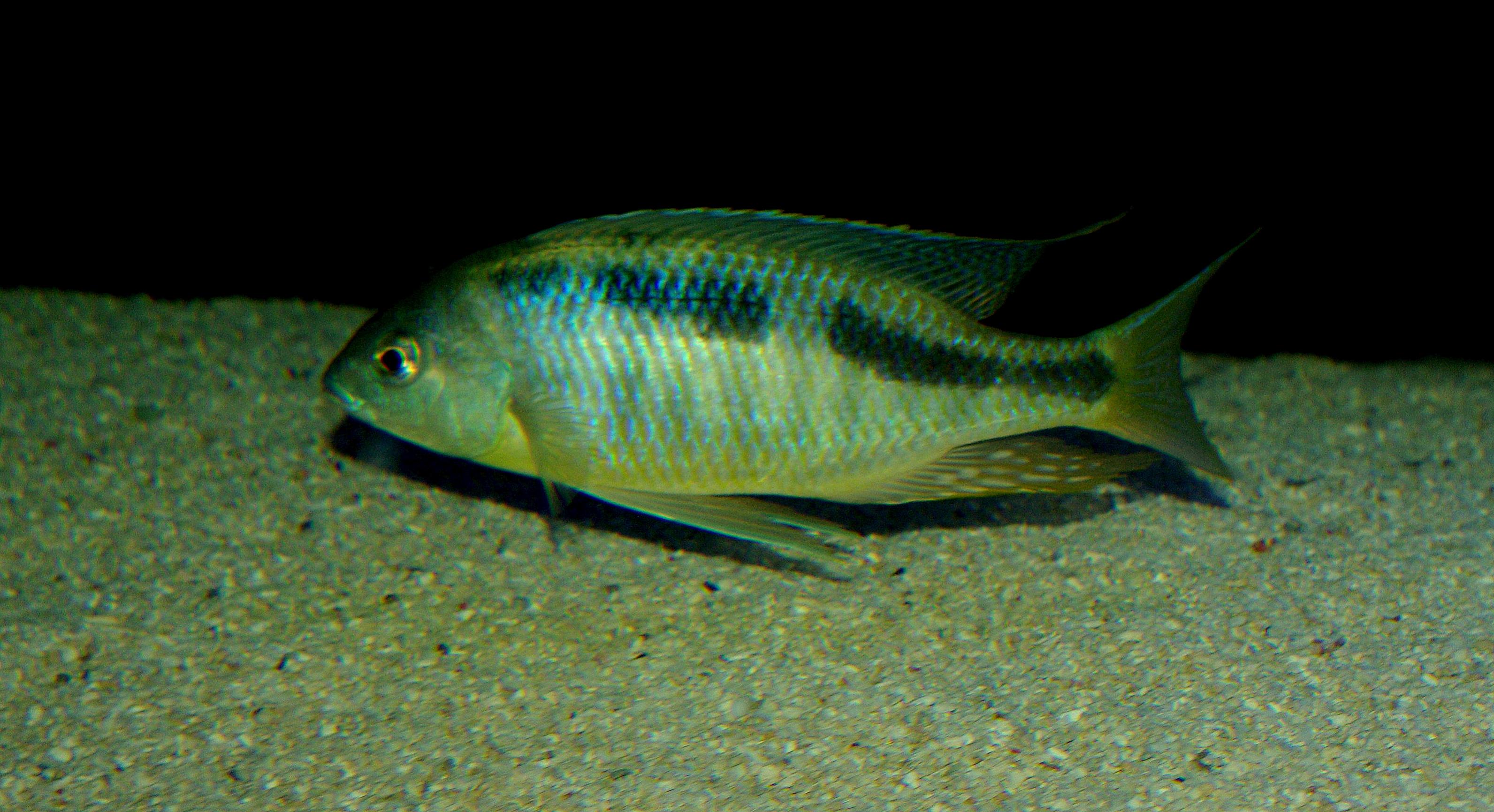 IMGP5192.jpg