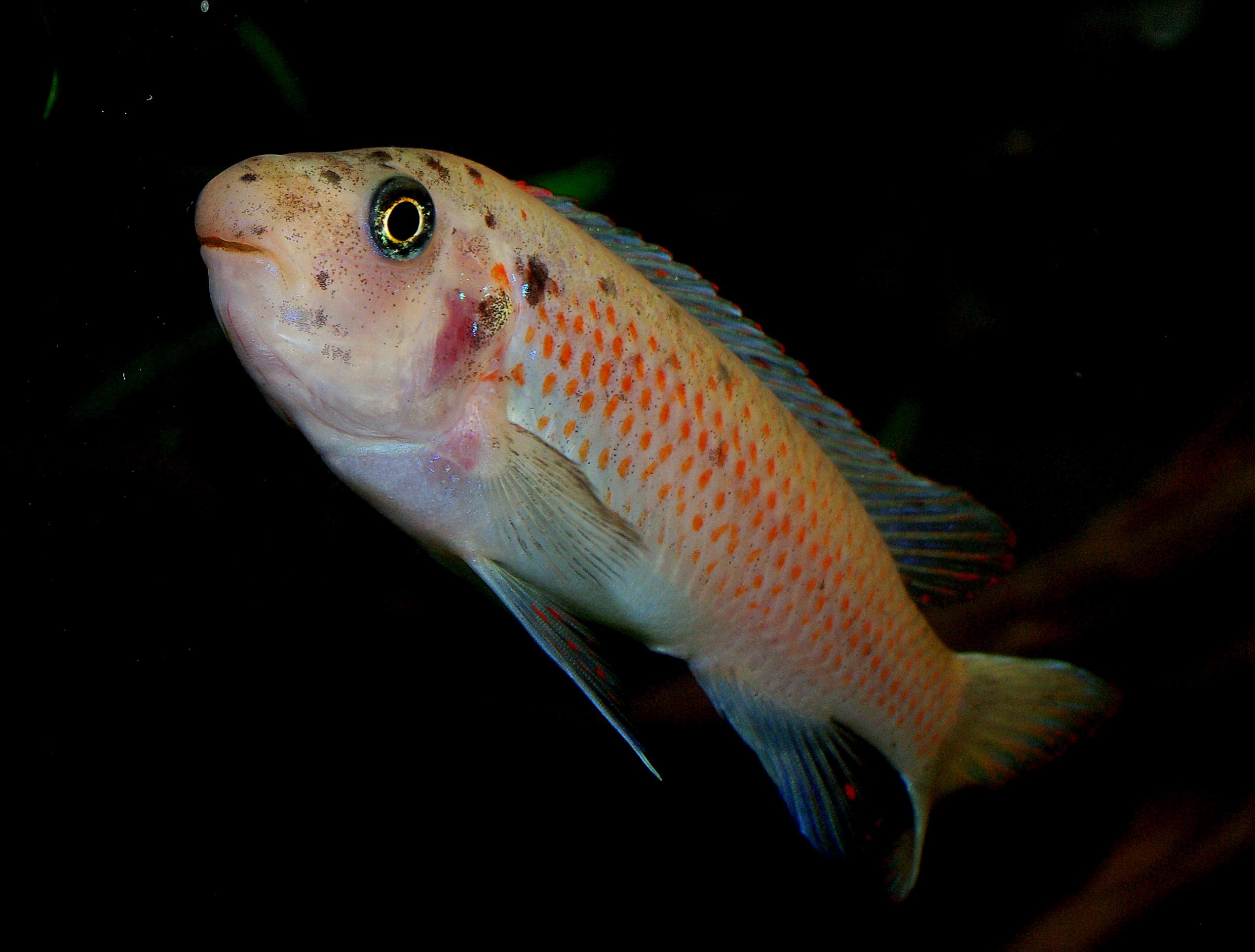 IMGP5704.jpg