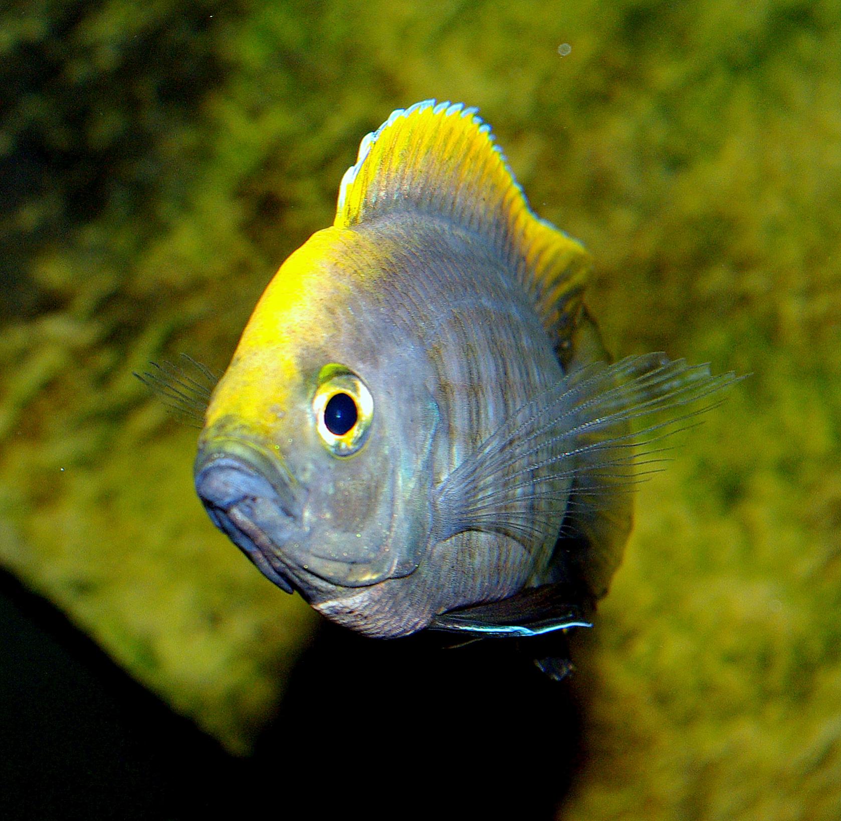 IMGP5244.jpg