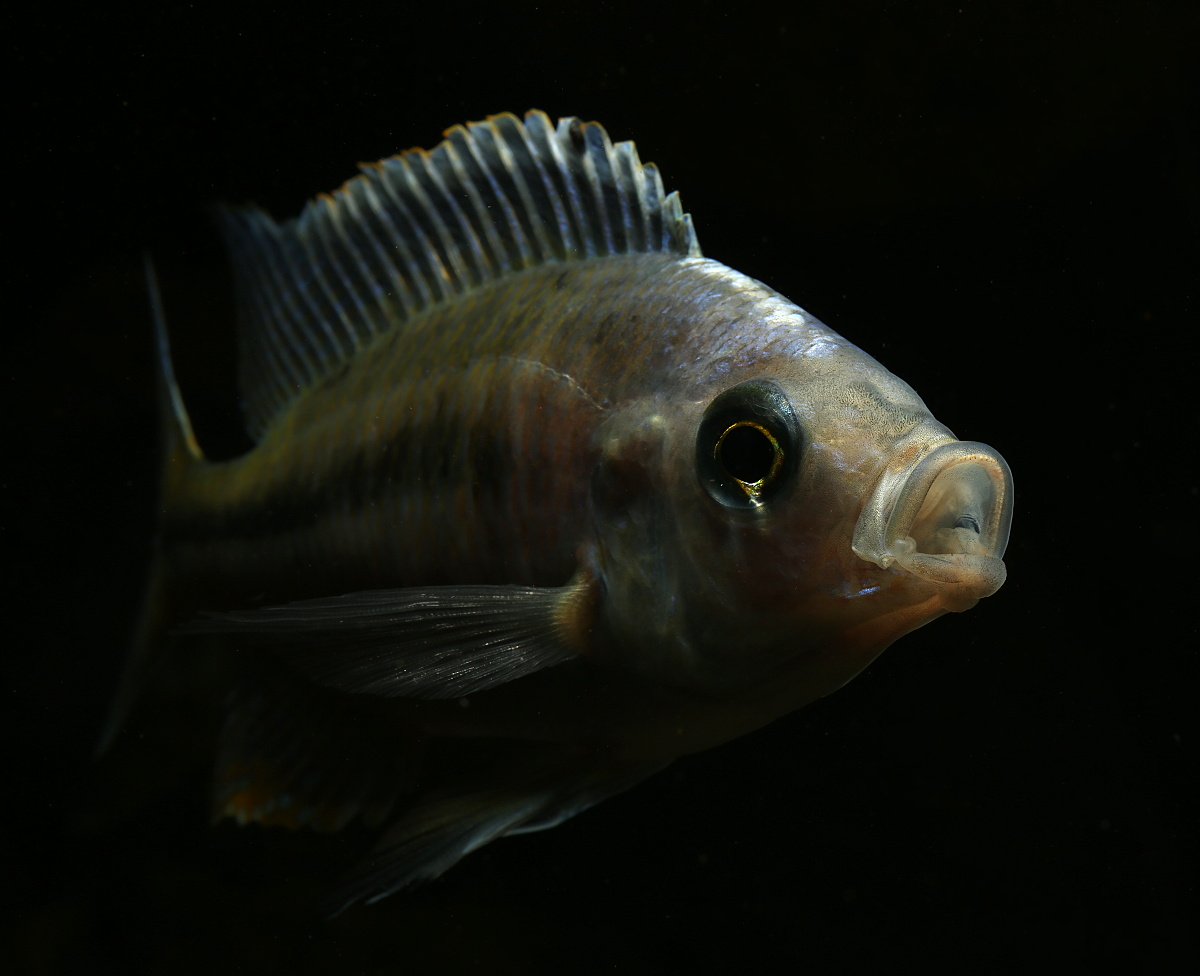 721A7653.JPG