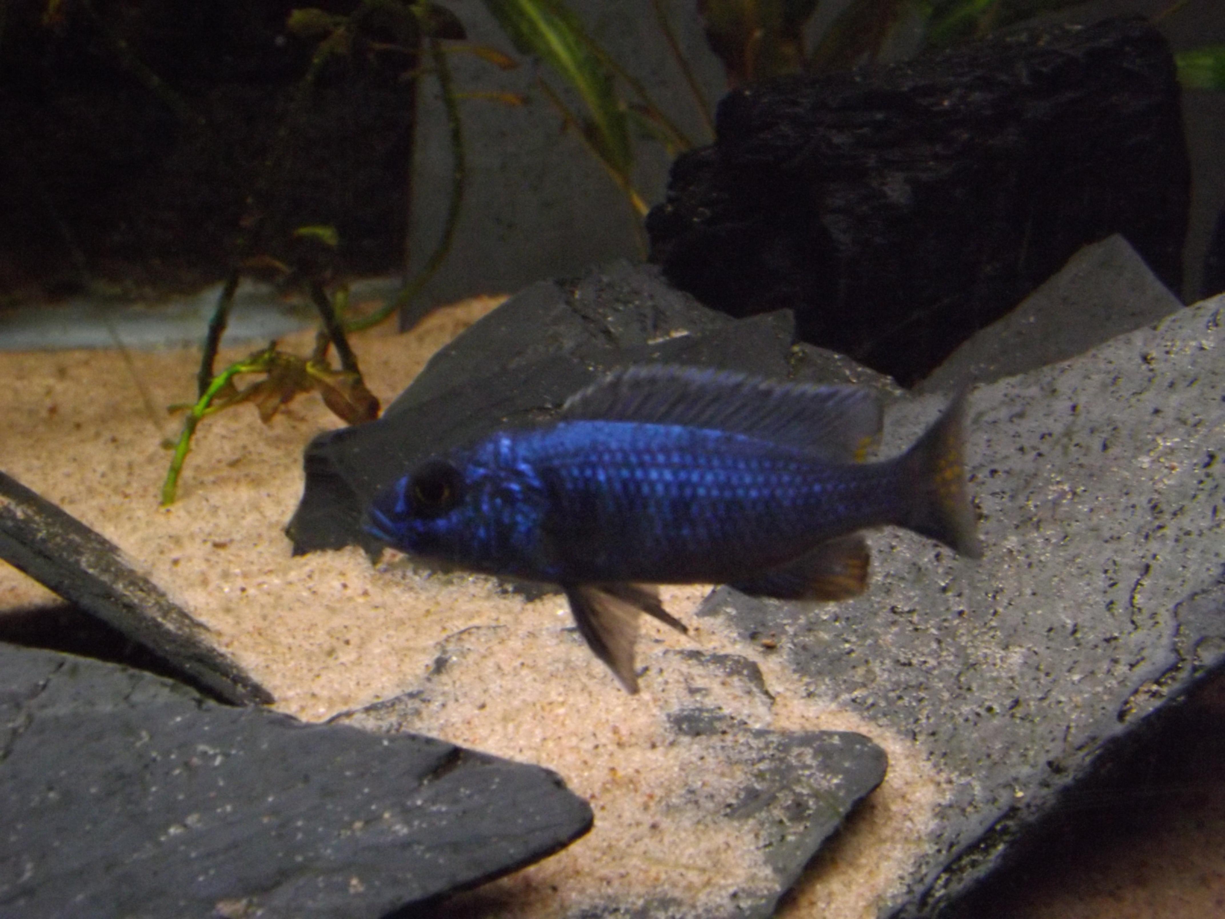 DSCF1522.jpg