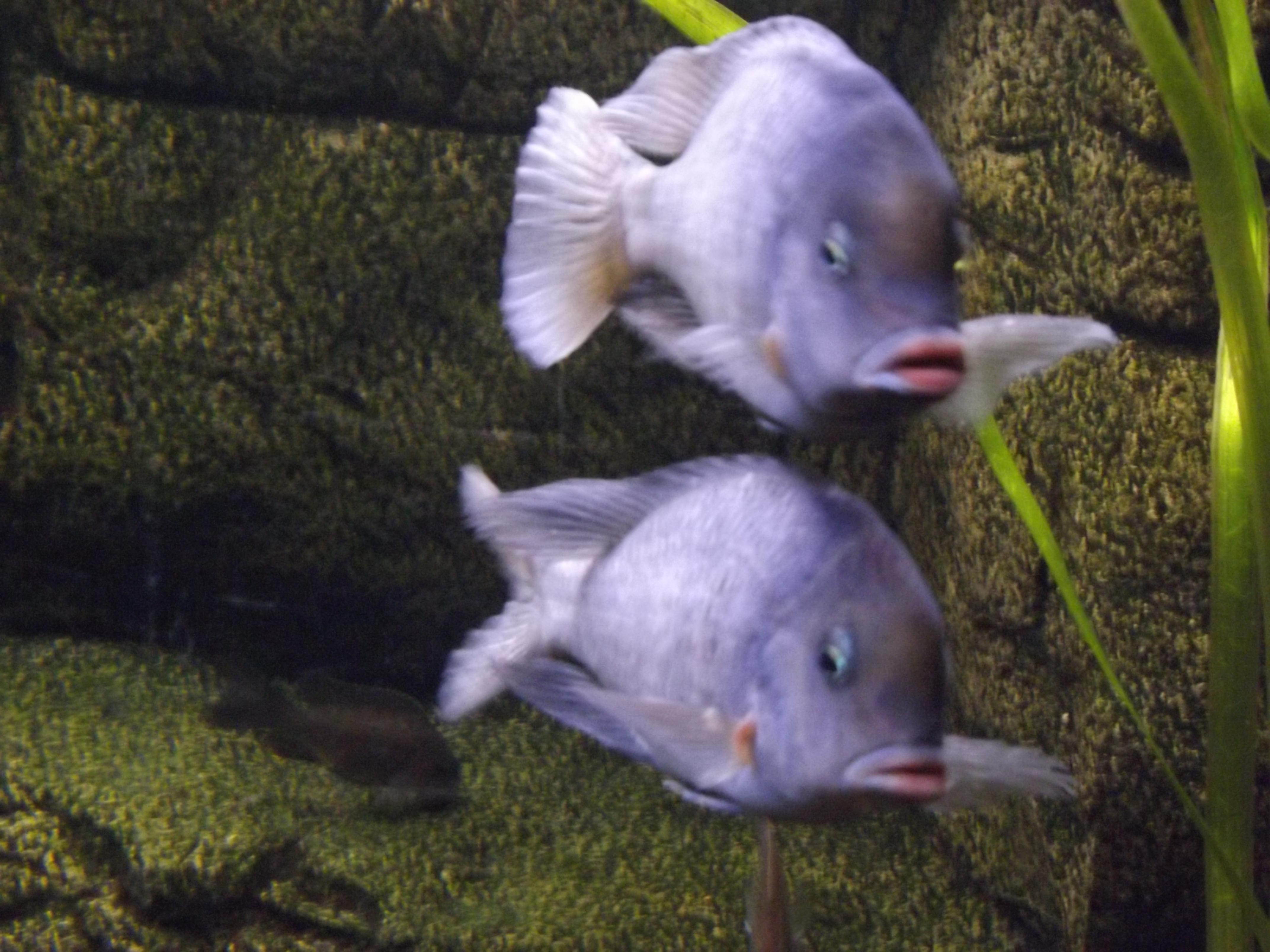 DSCF1567.jpg