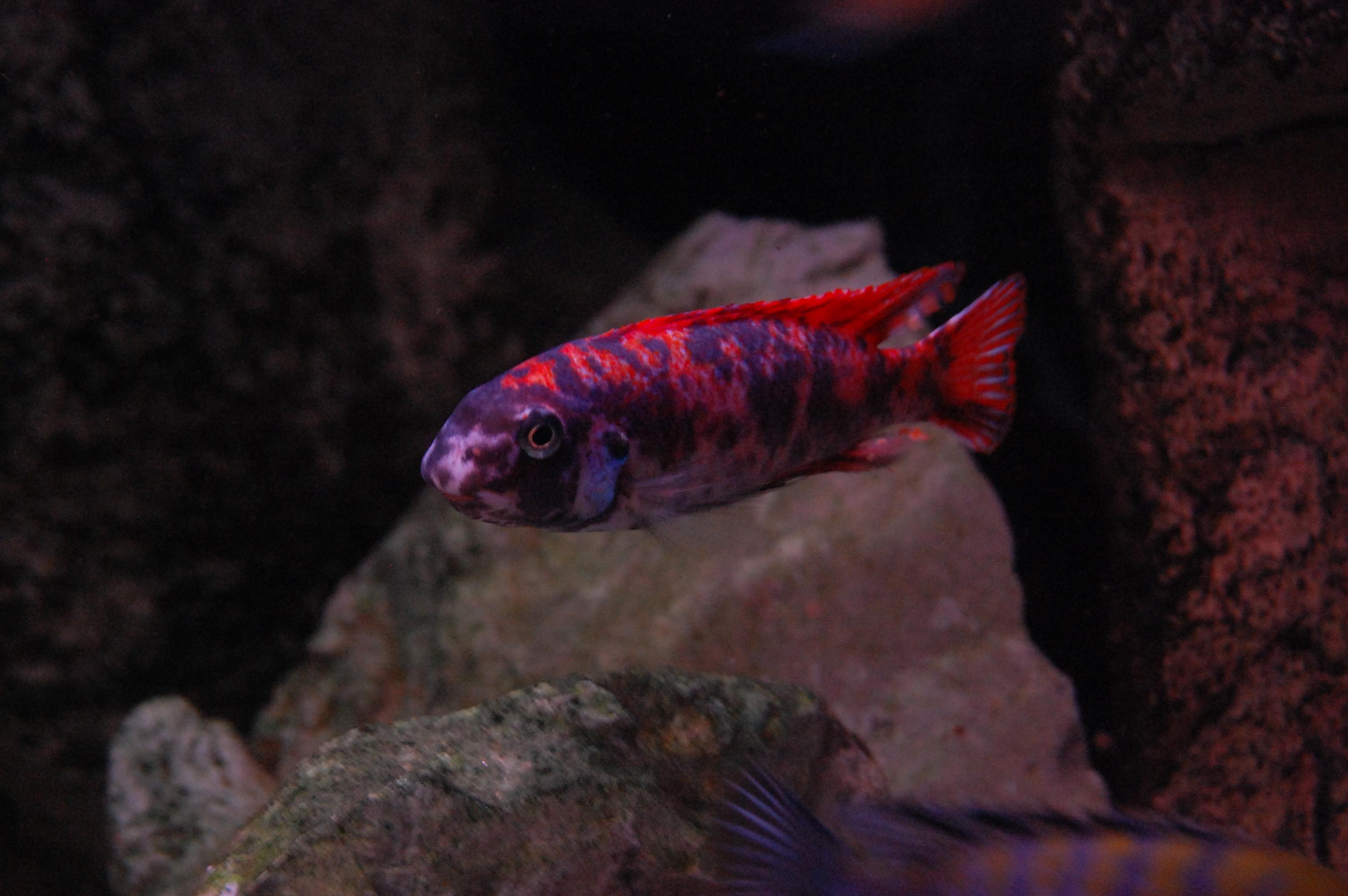DSC_0150.jpg