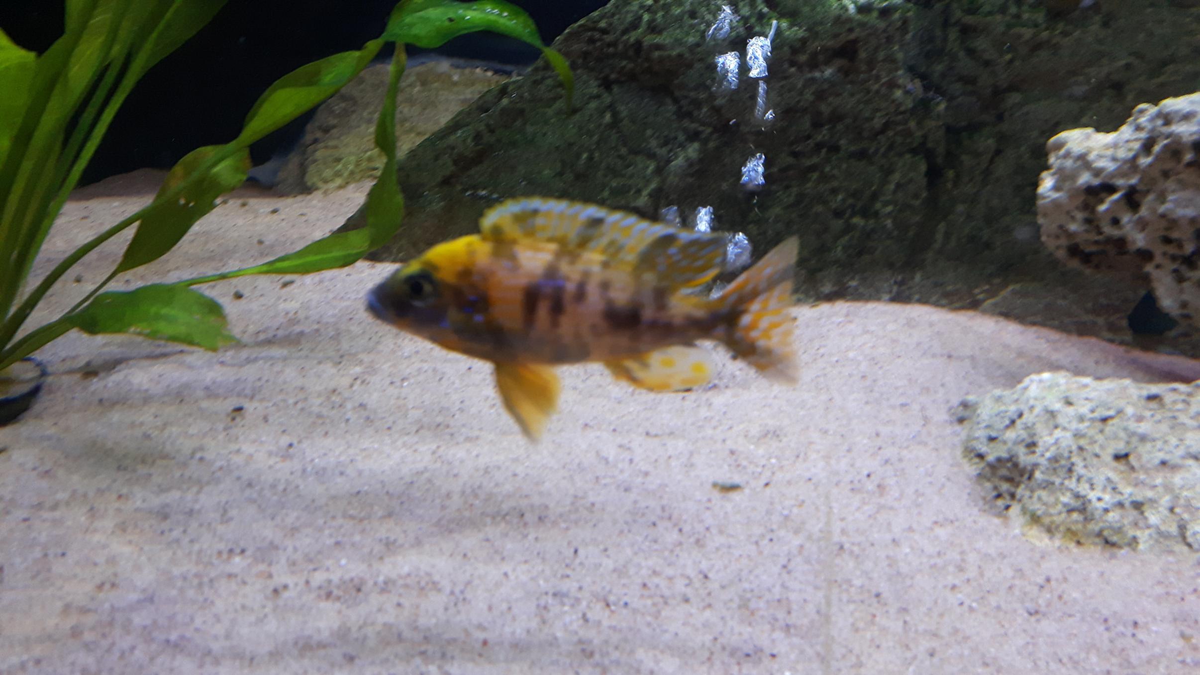 20151117_183109.jpg