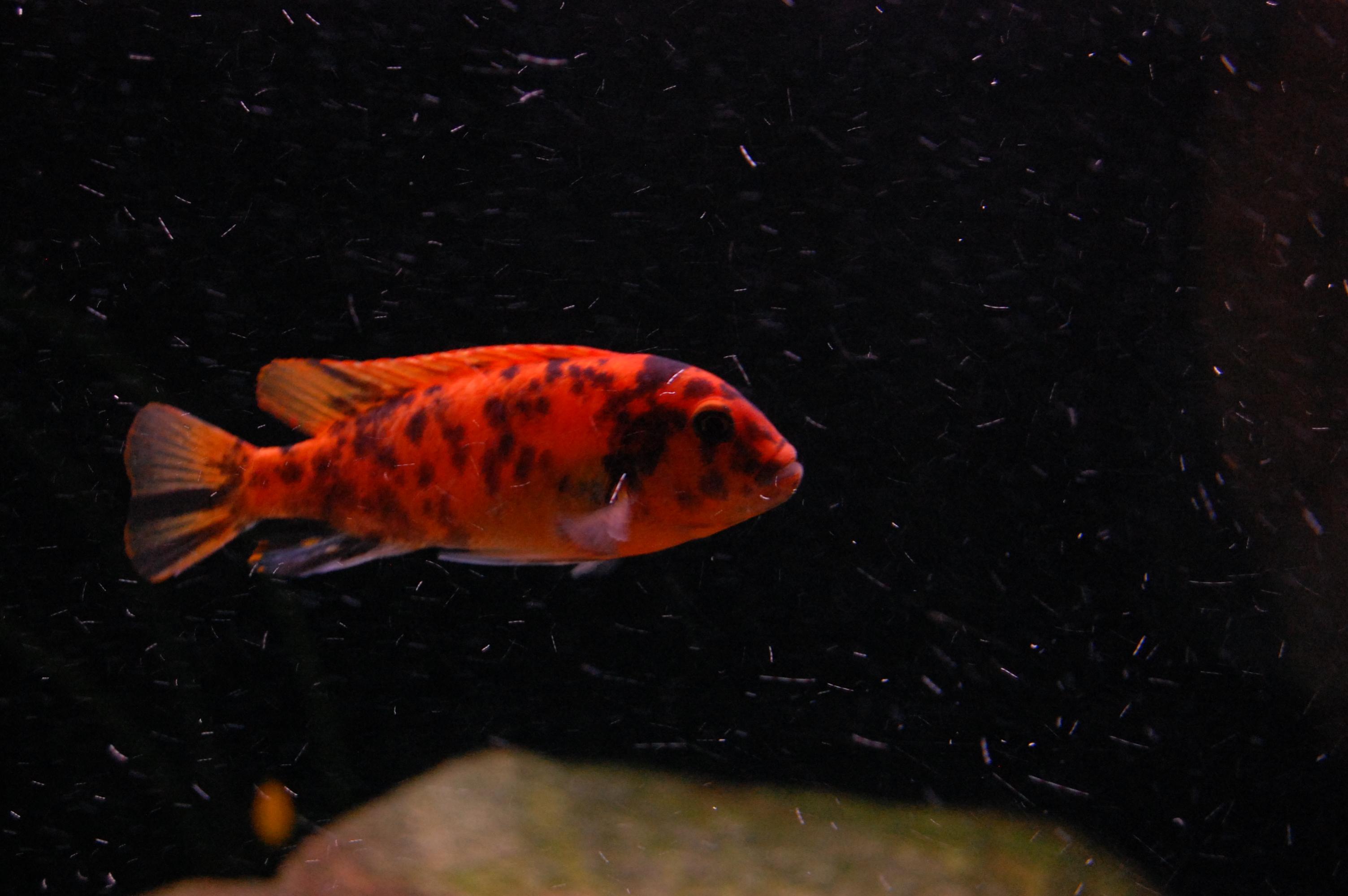 DSC_0560.jpg