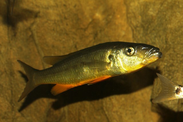 IMG_6086 kopia.jpg