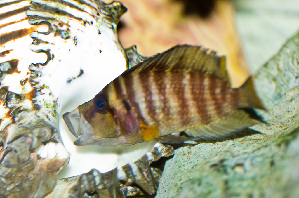 _IGP0390.jpg