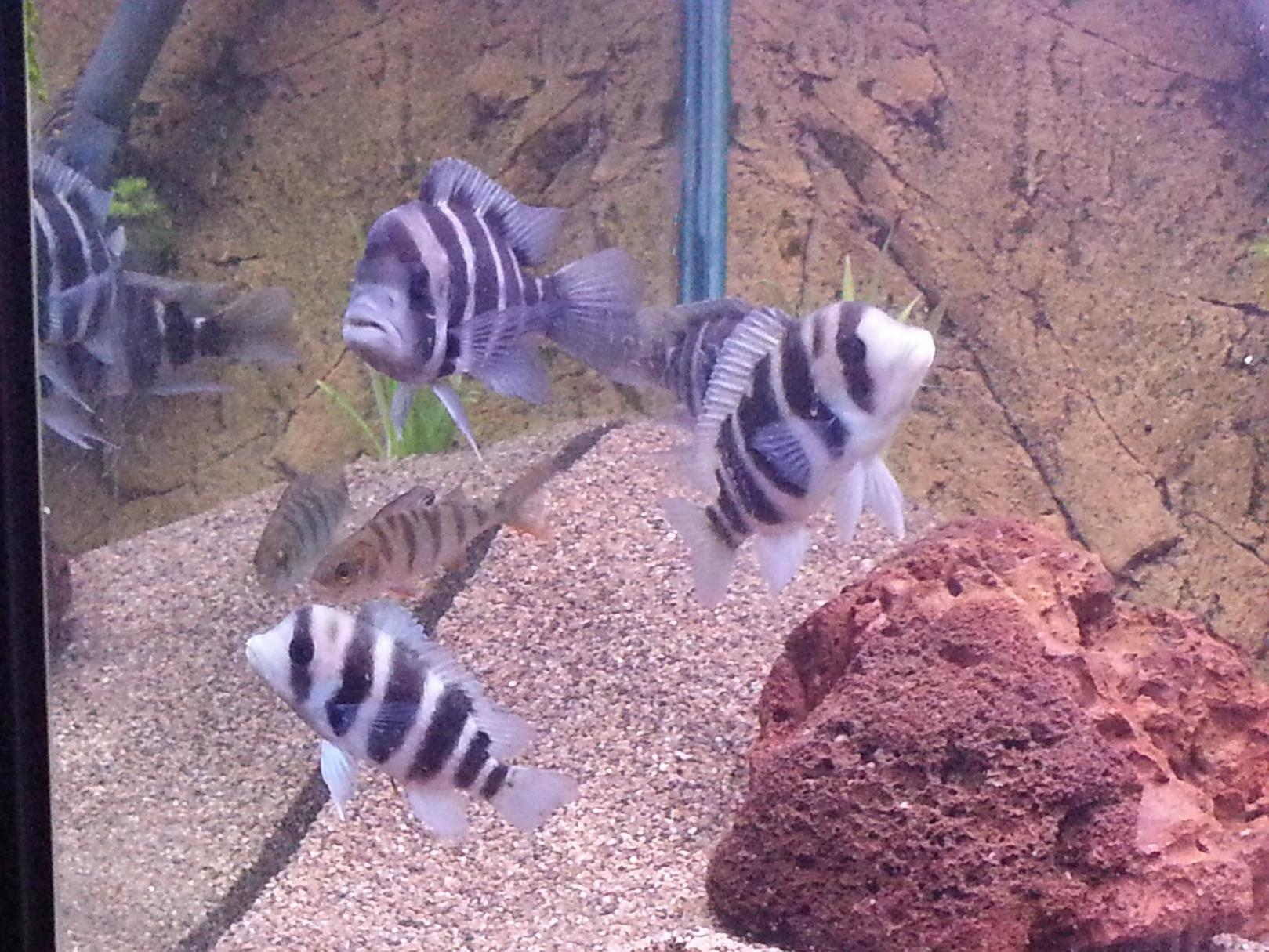 20130209_171443.jpg