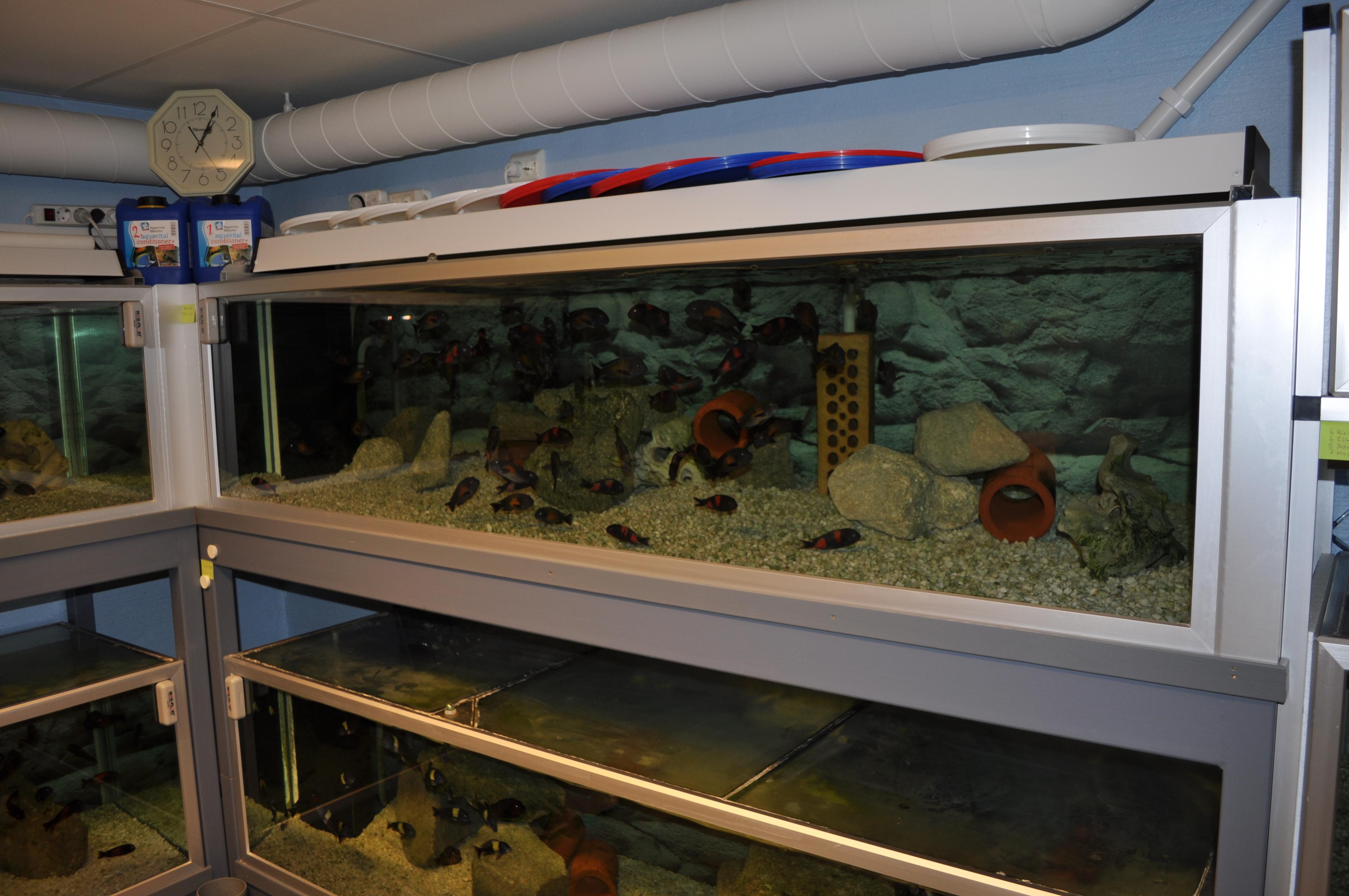 DSC_0177.jpg