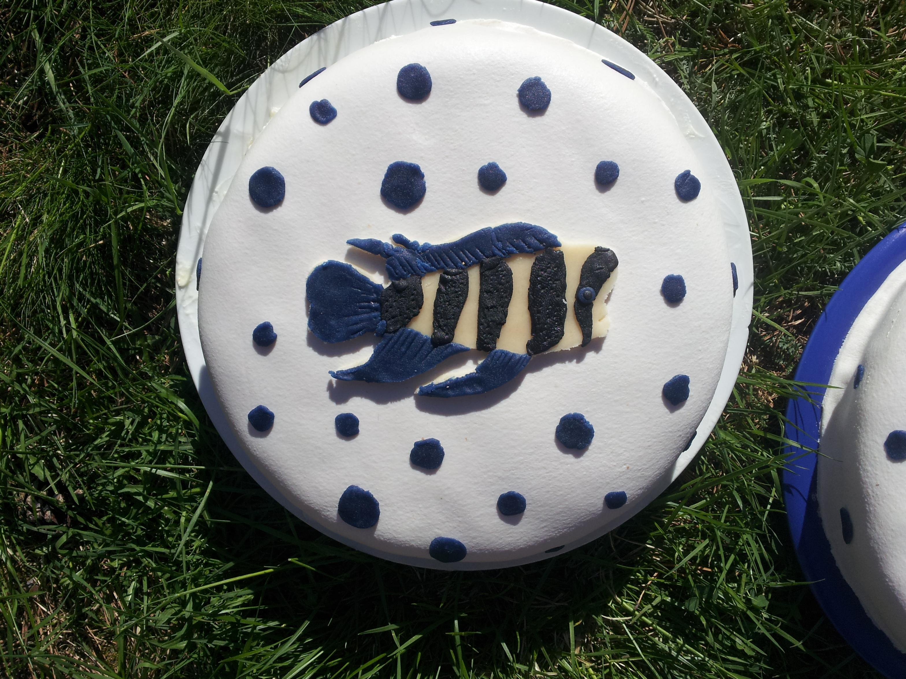 20130531_091153.jpg