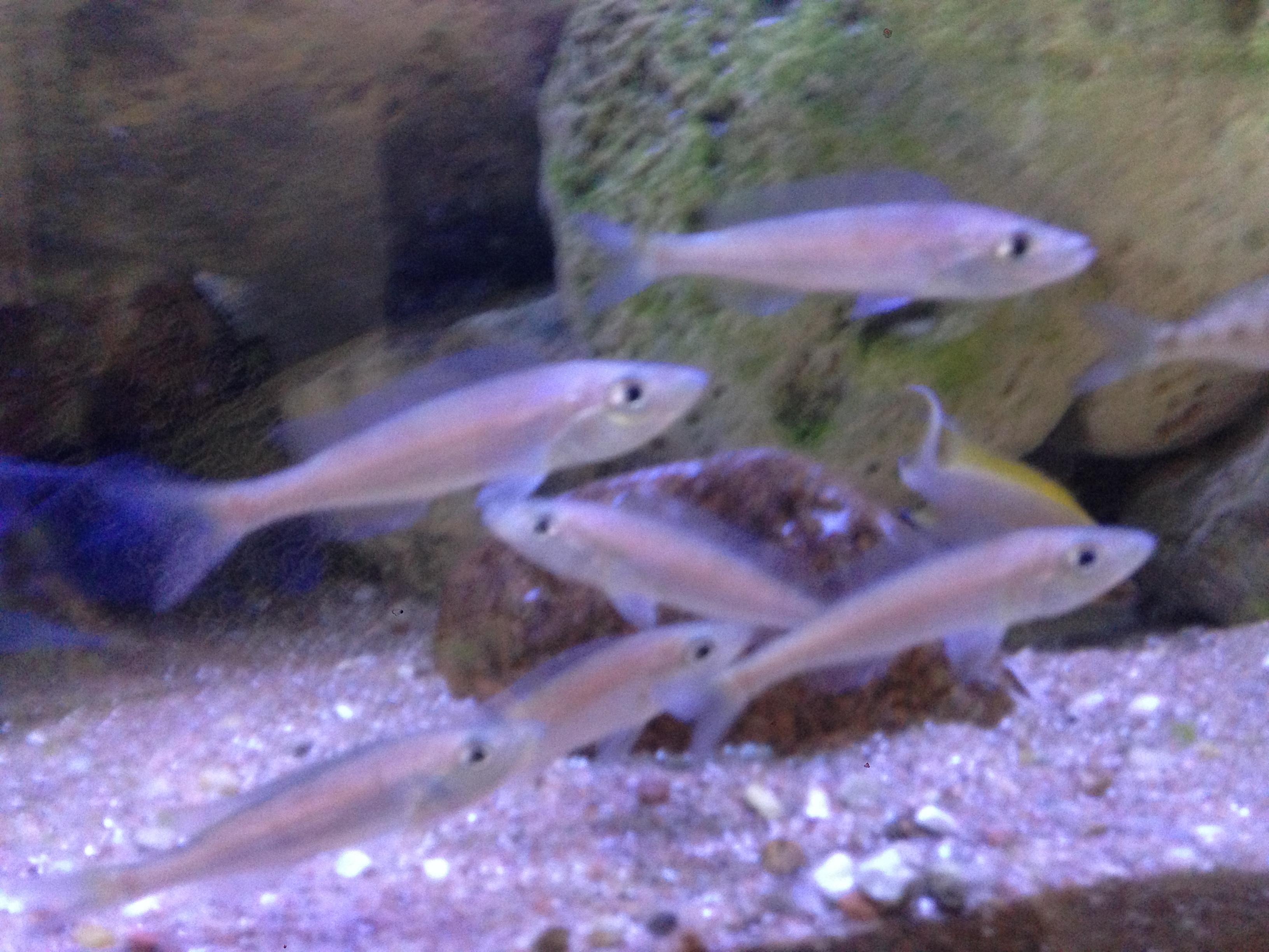 IMG_1215.jpg