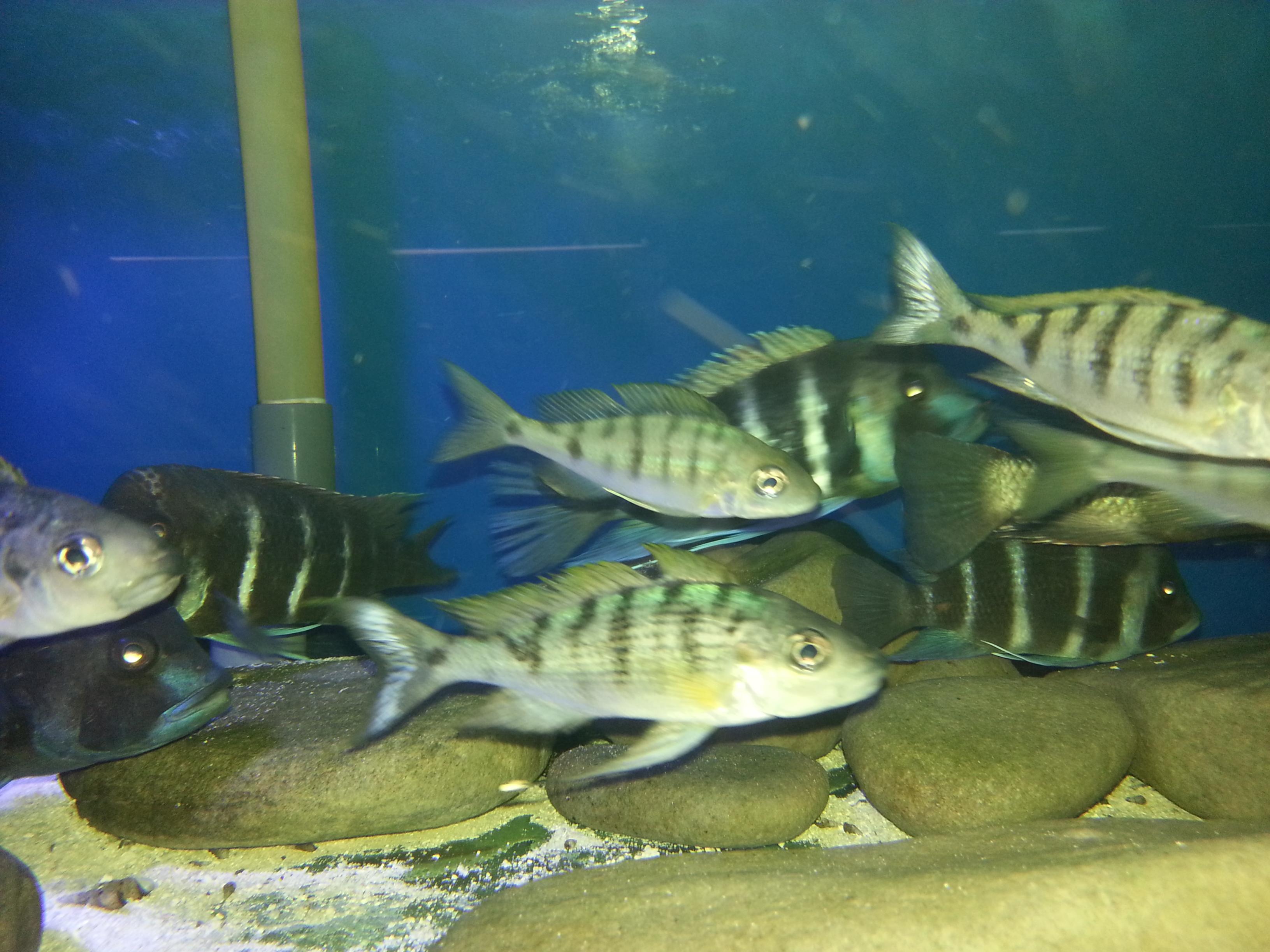 2013-10-12 11.54.37.jpg