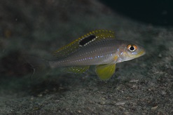 NCS_3576.jpg