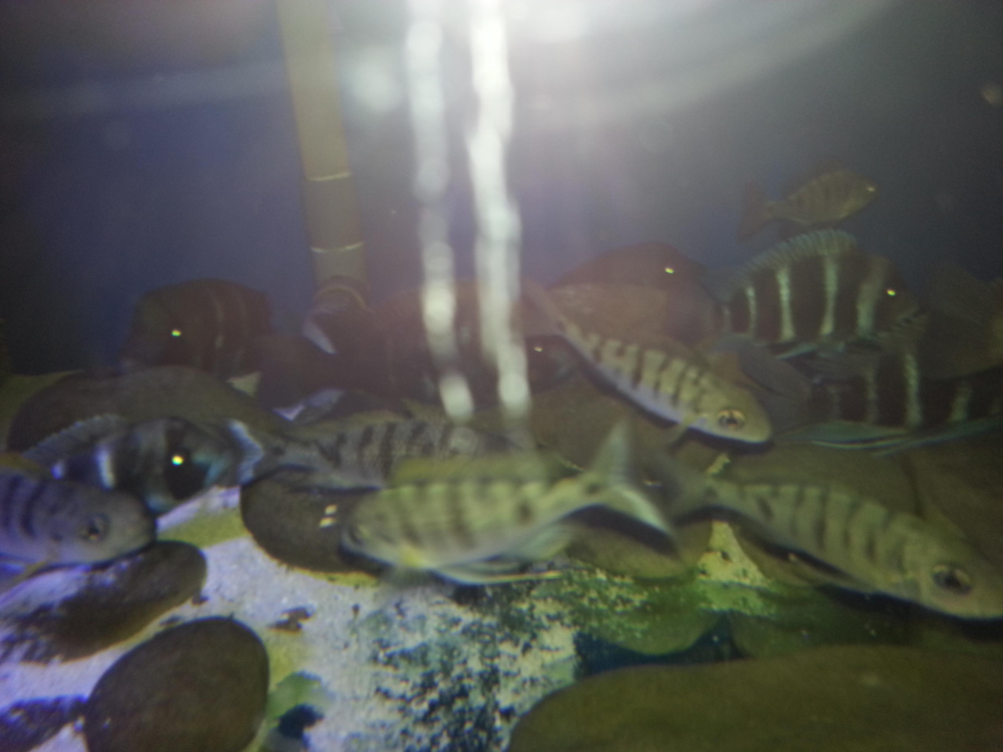 2013-10-12 11.53.20.jpg
