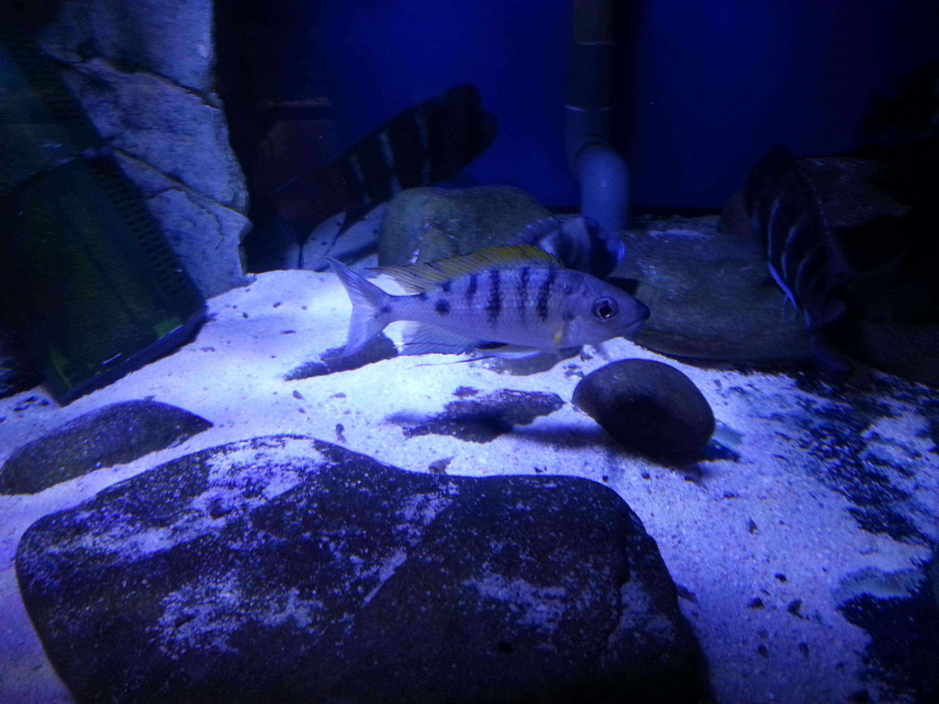 2013-10-12 11.49.40.jpg