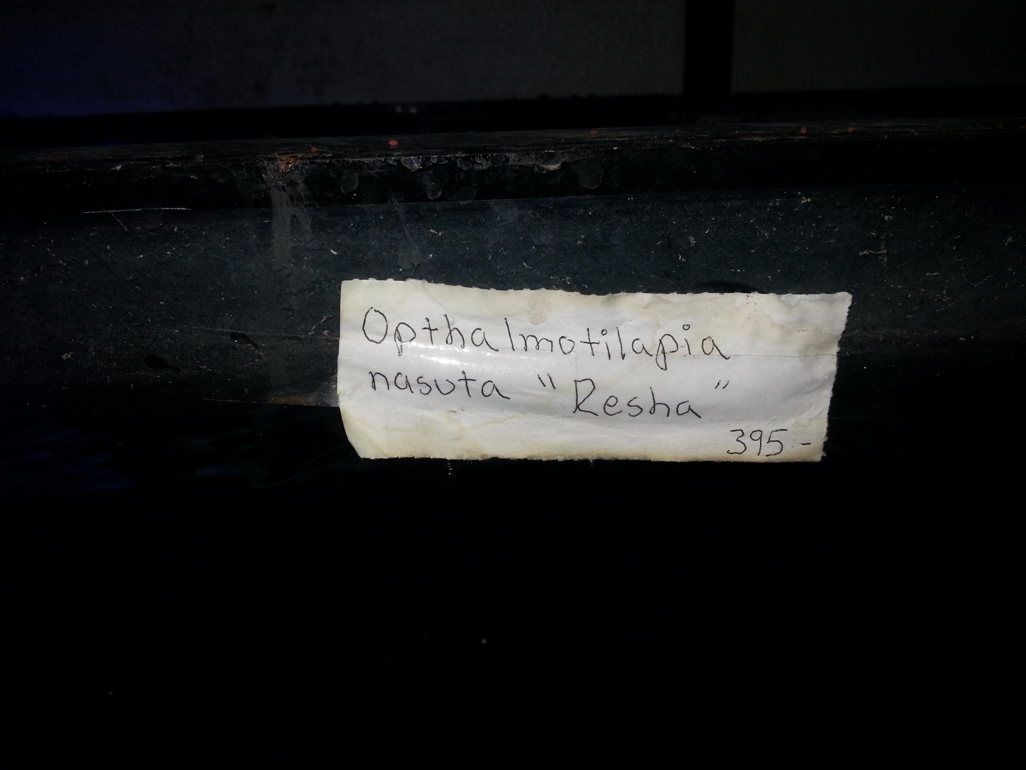 2013-10-12 11.55.23.jpg