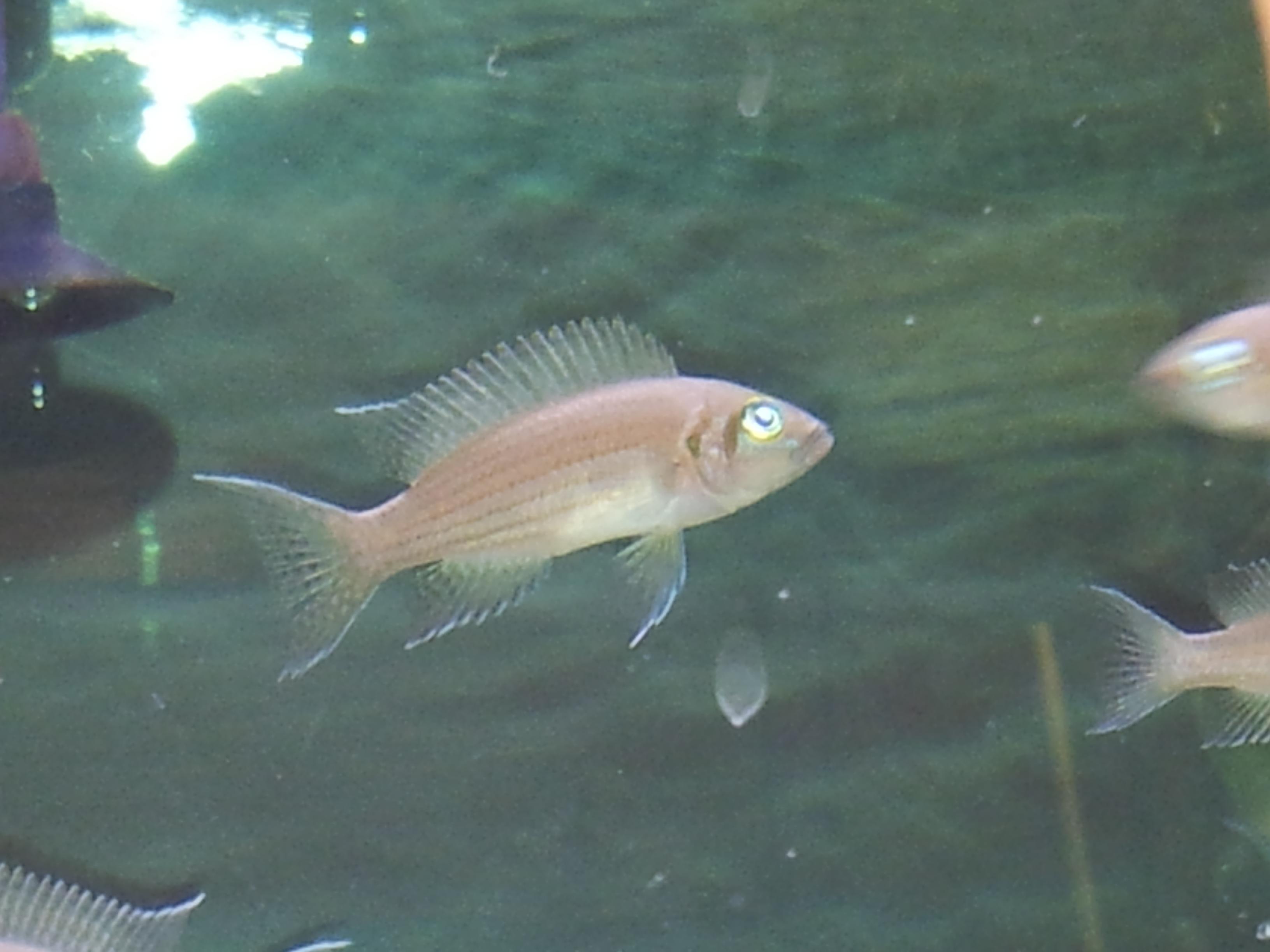 20131029_115438.jpg