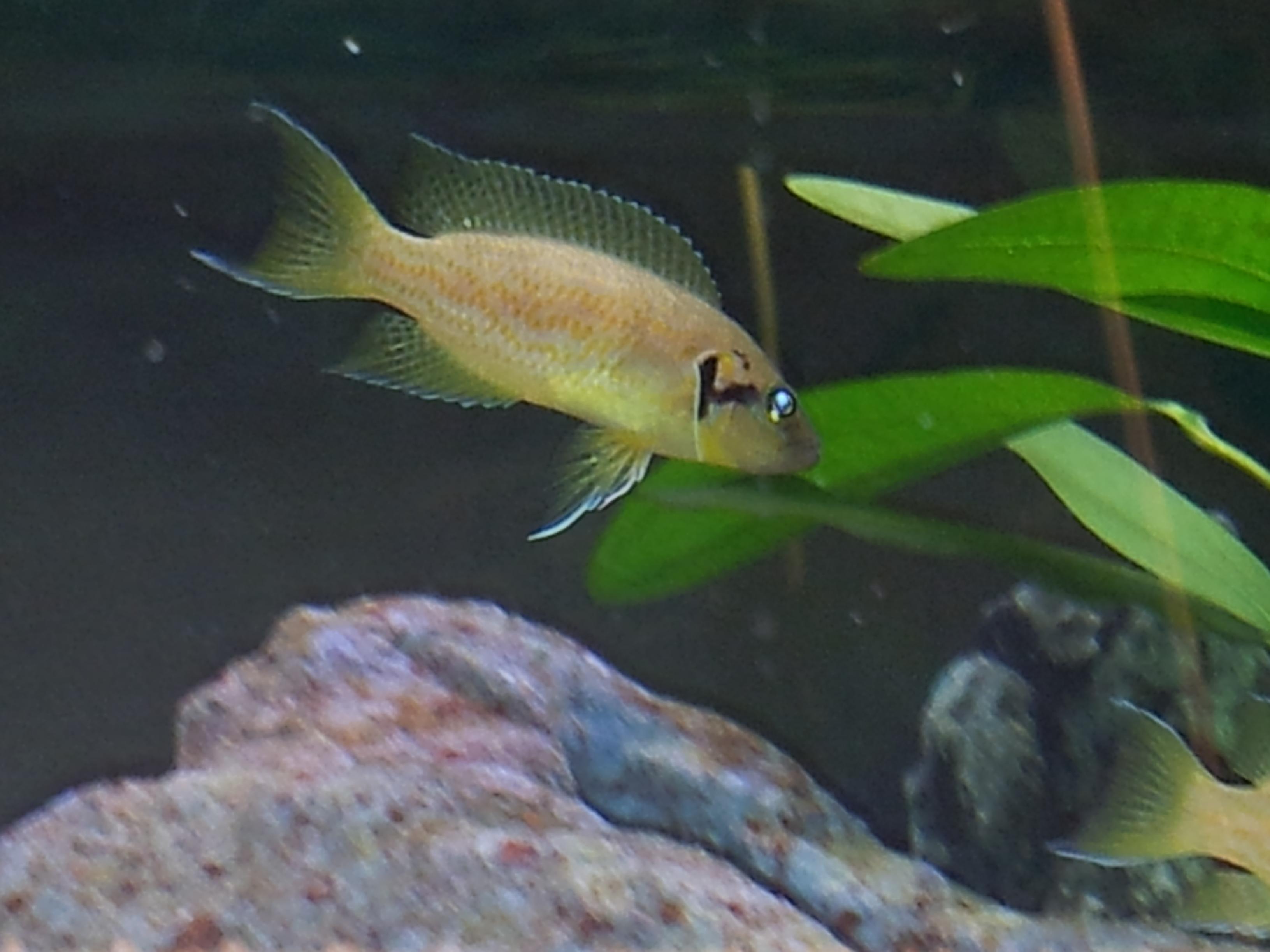 20131029_115906.jpg