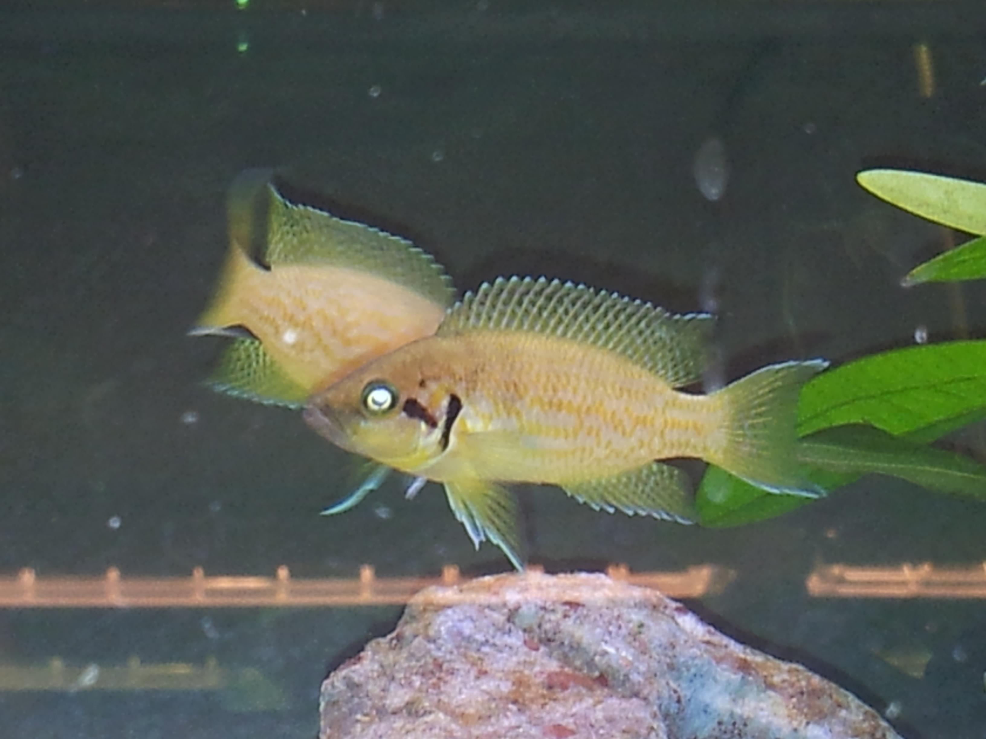 20131029_115428.jpg