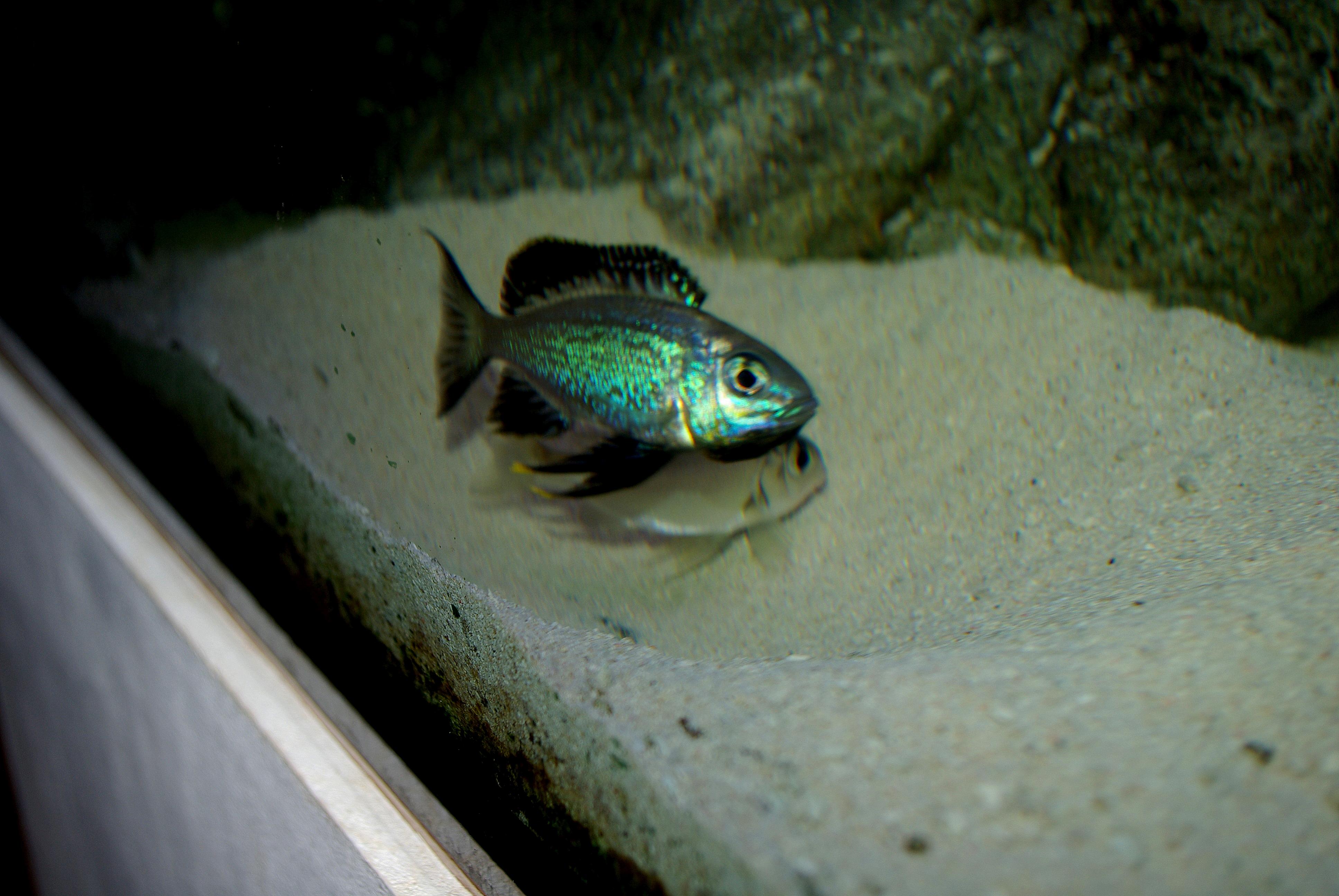 1-IMGP6093.jpg