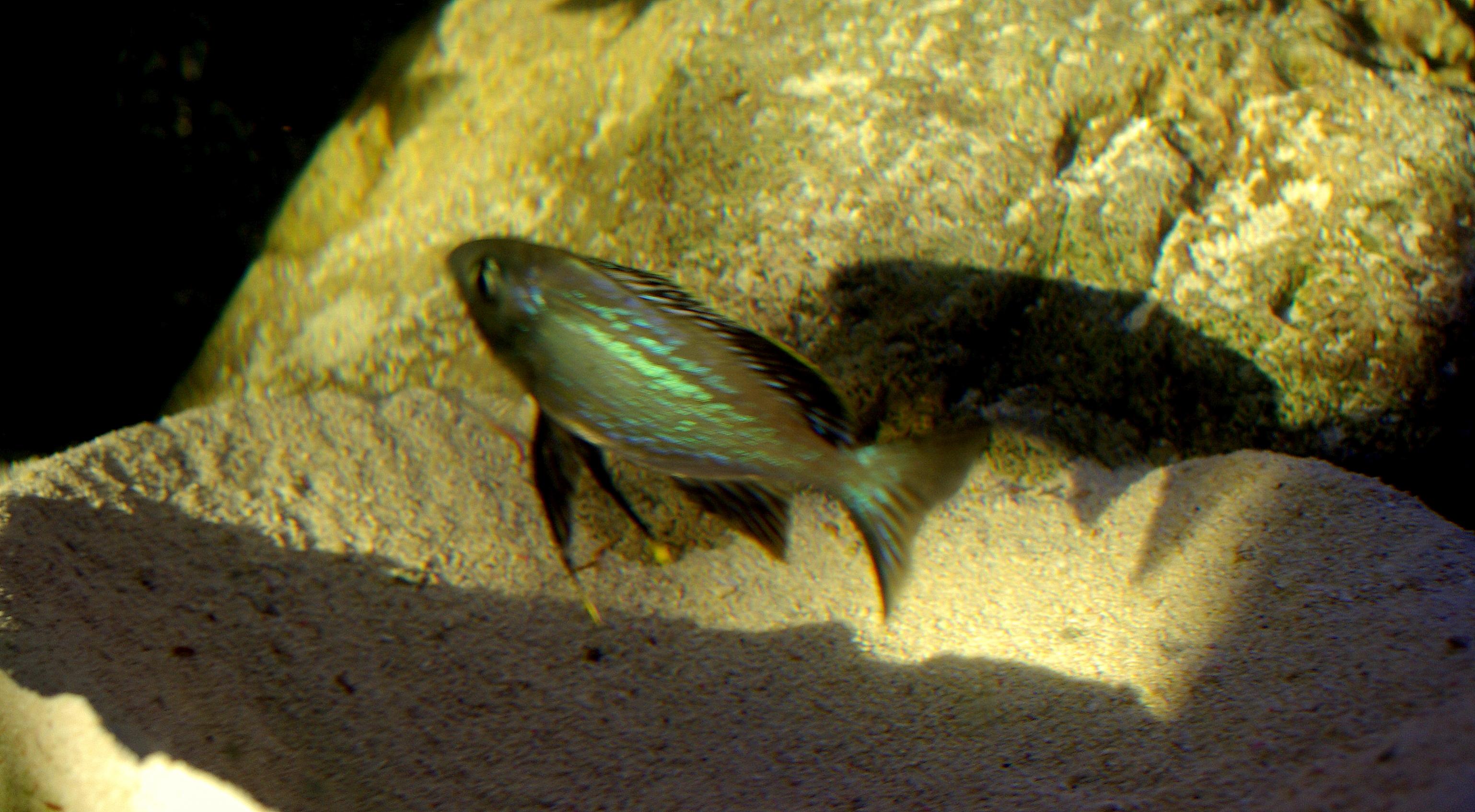 IMGP5922.jpg