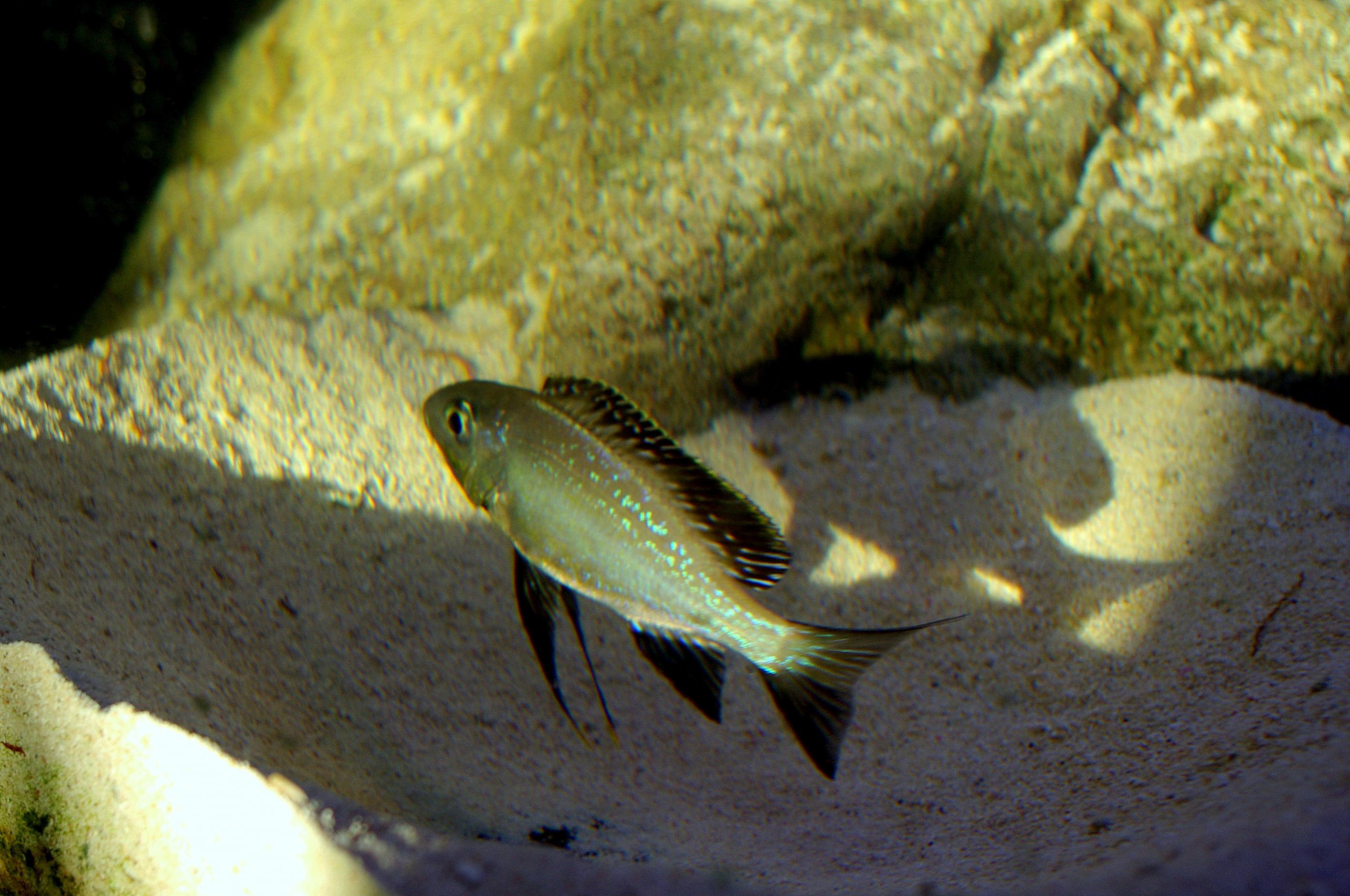 IMGP5927.jpg