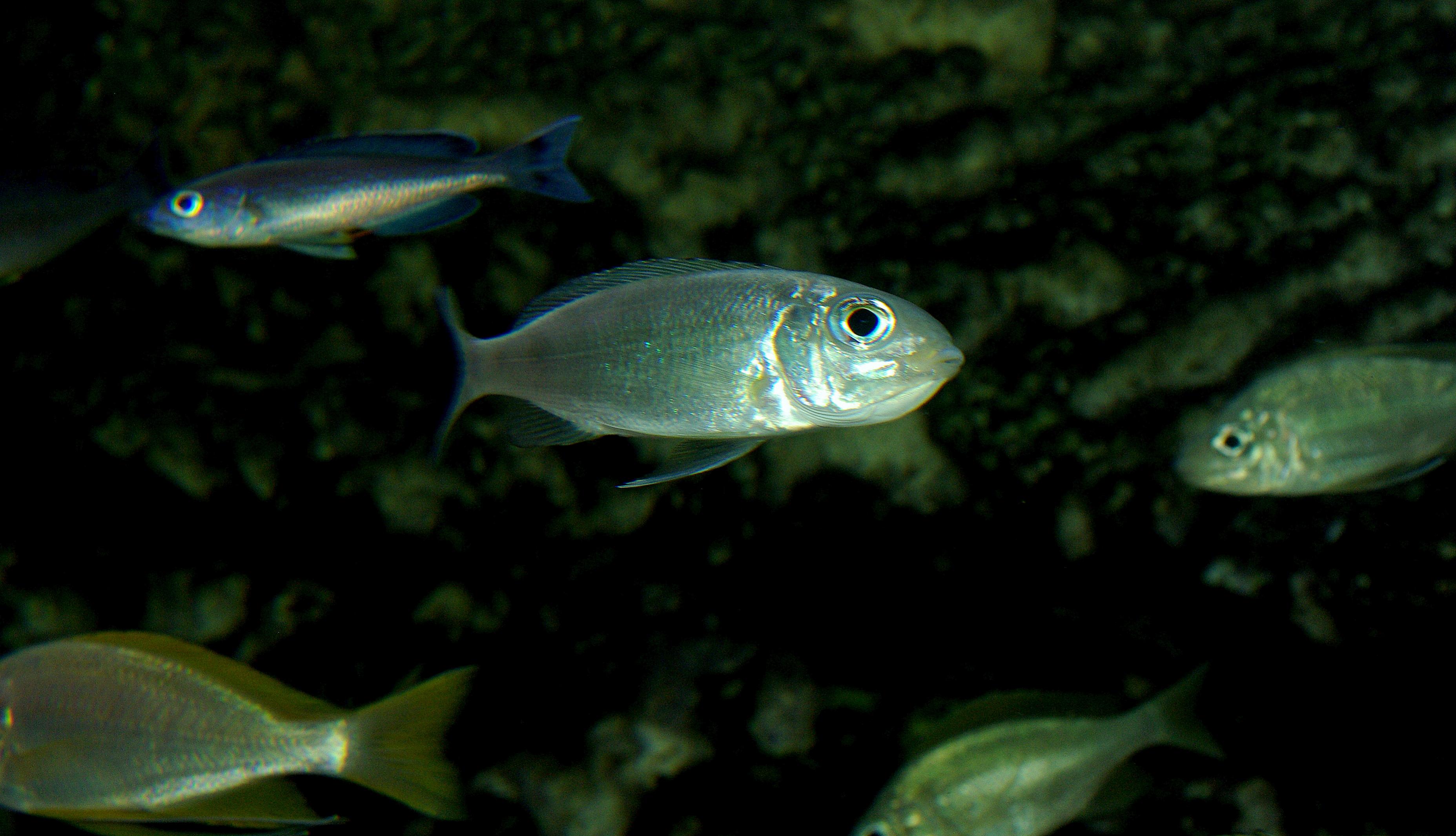 1-IMGP6103.jpg