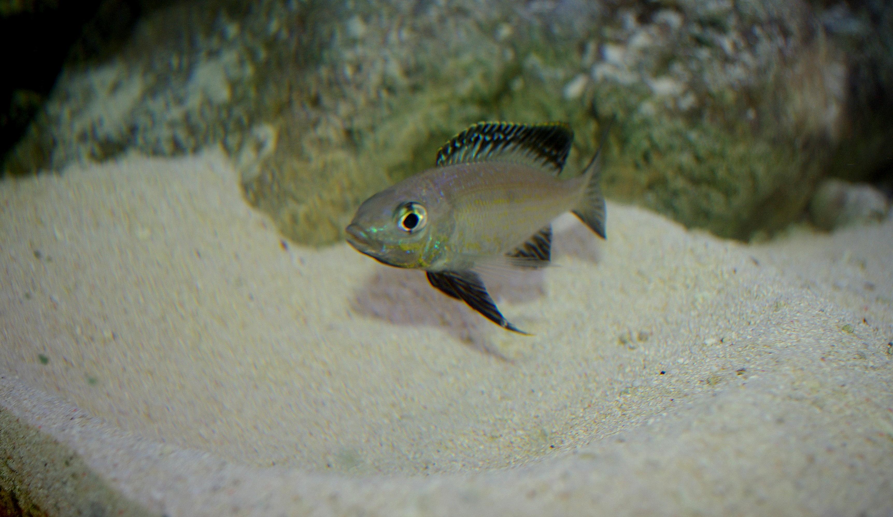 1-IMGP5908.jpg