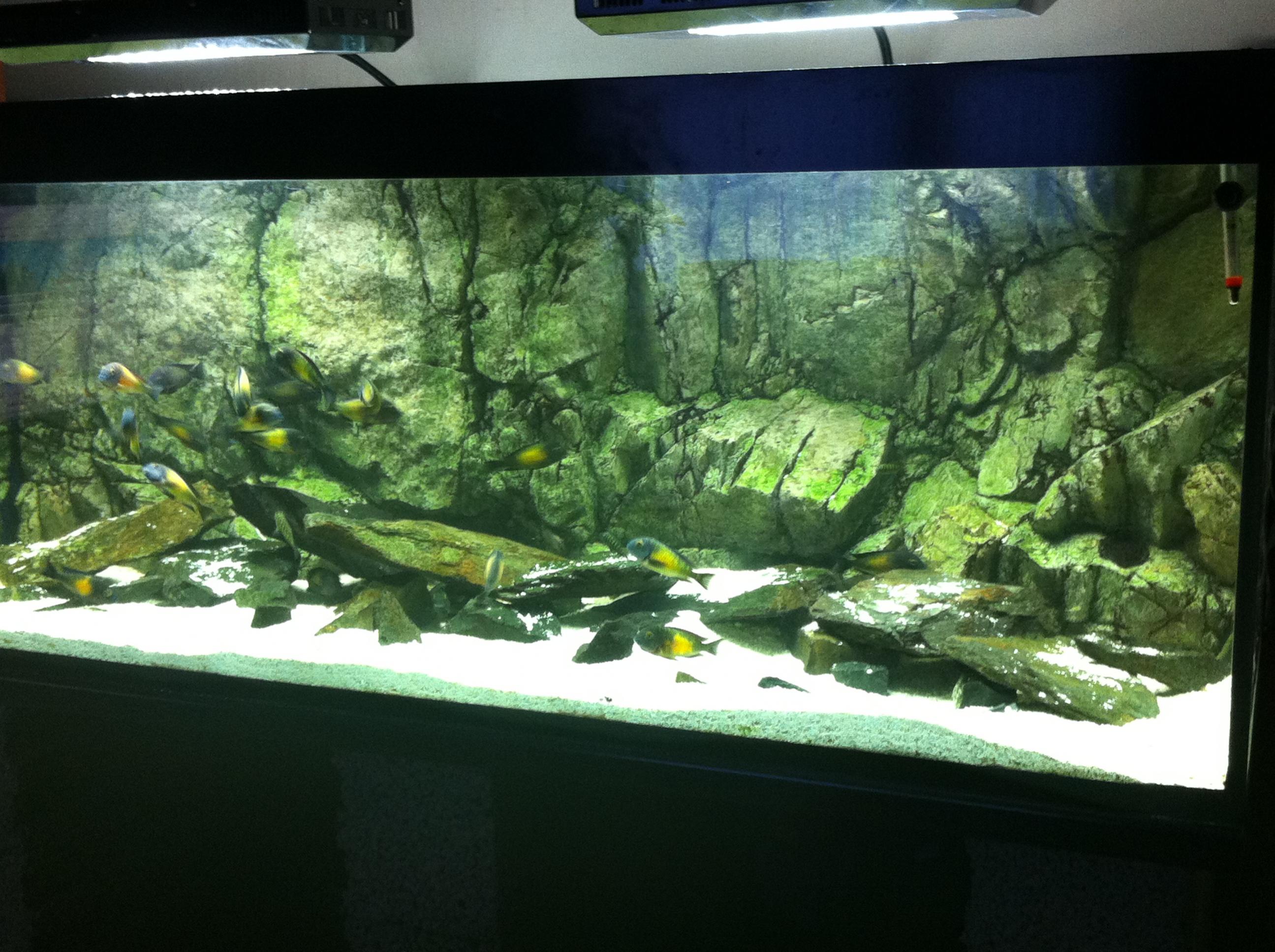 akvarium1.jpg
