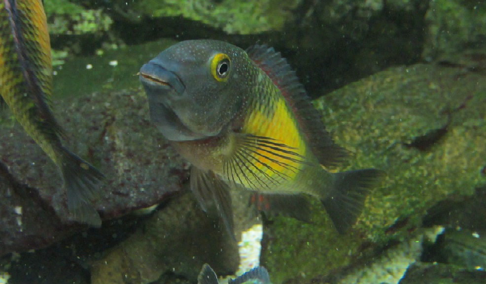 IMG_4376.JPG