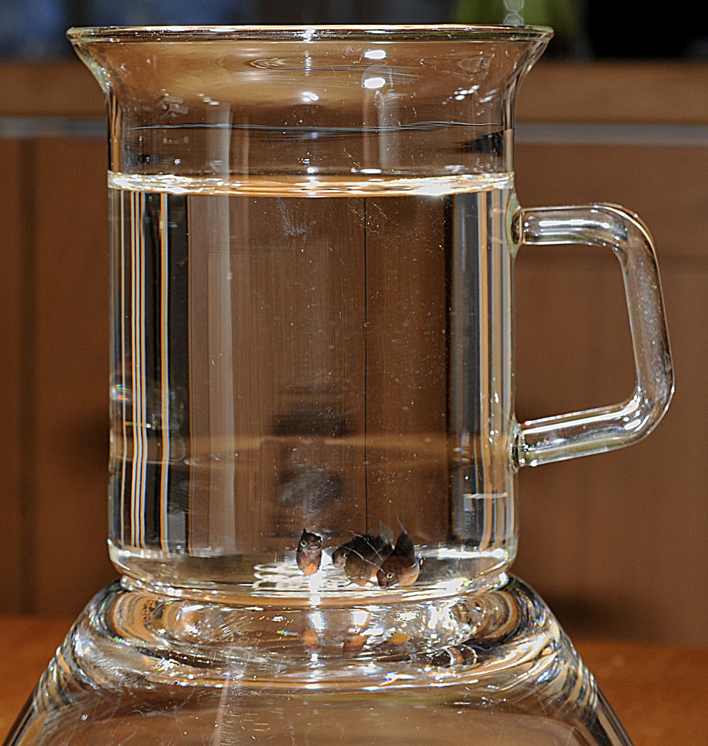 DSC_7864.JPG