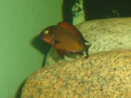 DSC01769.JPG