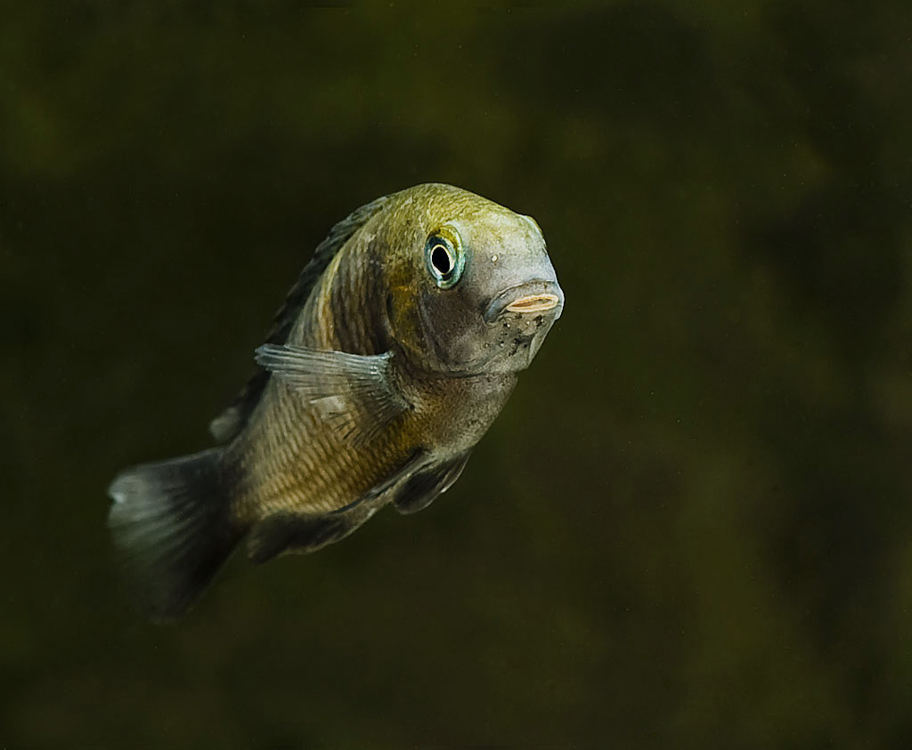 DSC_8618.JPG