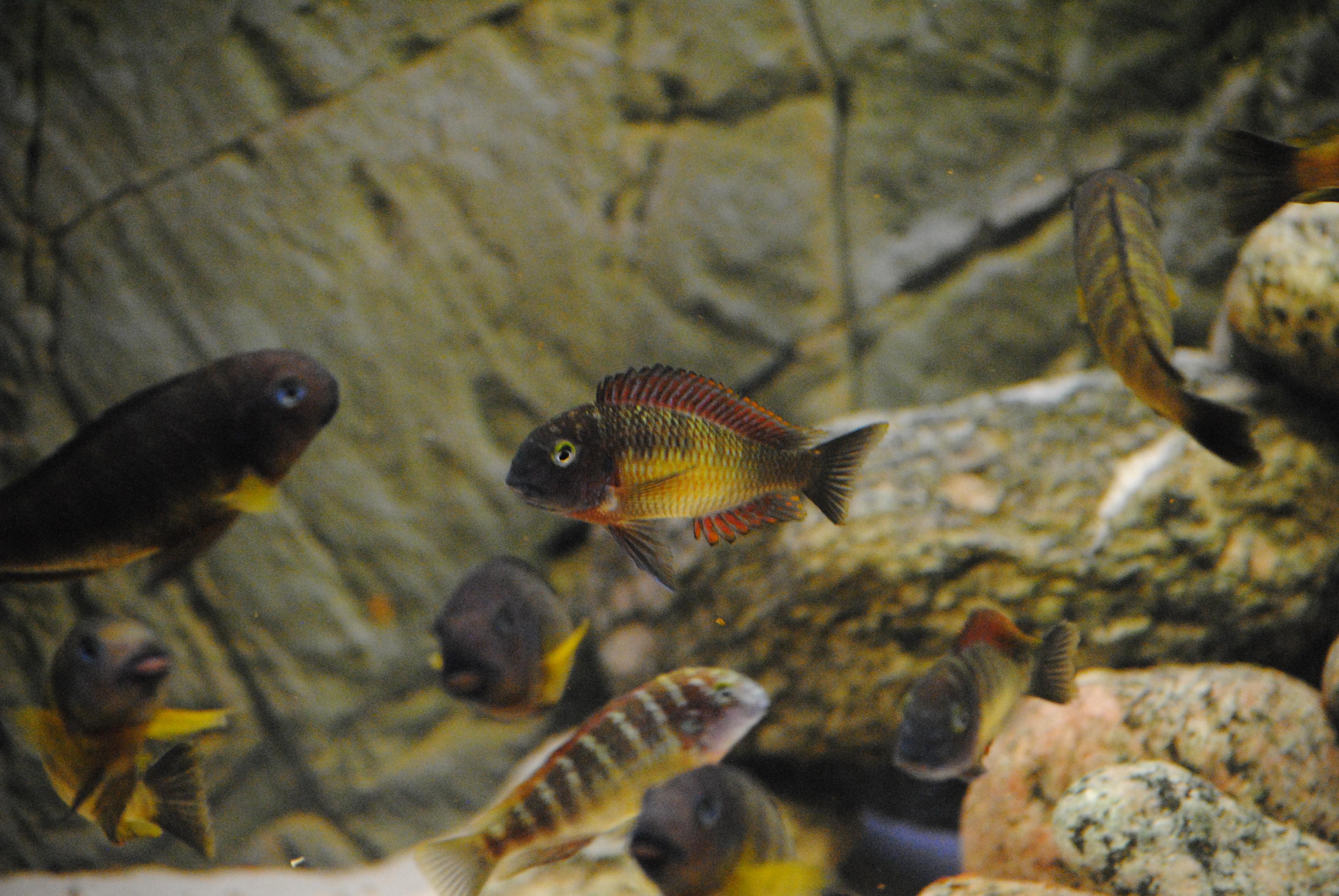 DSC_0080.jpg