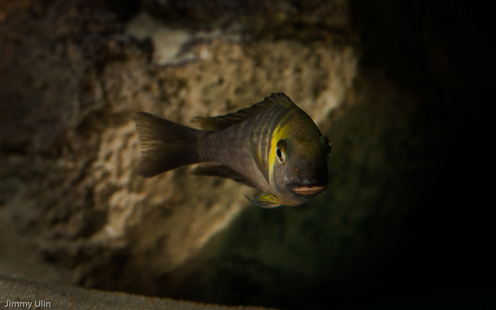 DSC_0240.jpg