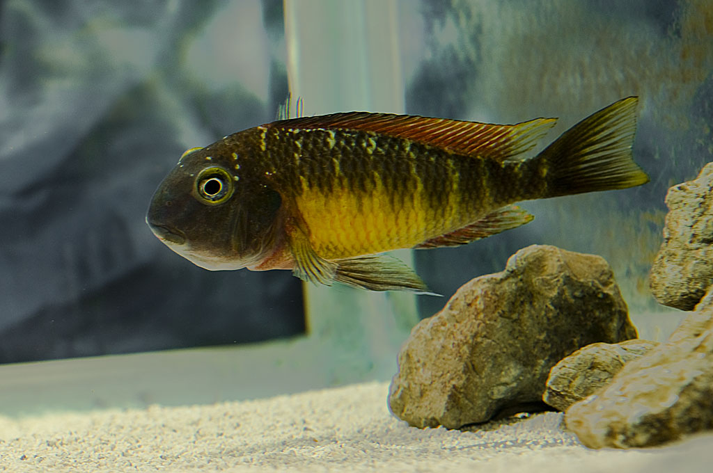 DSC_8893.JPG