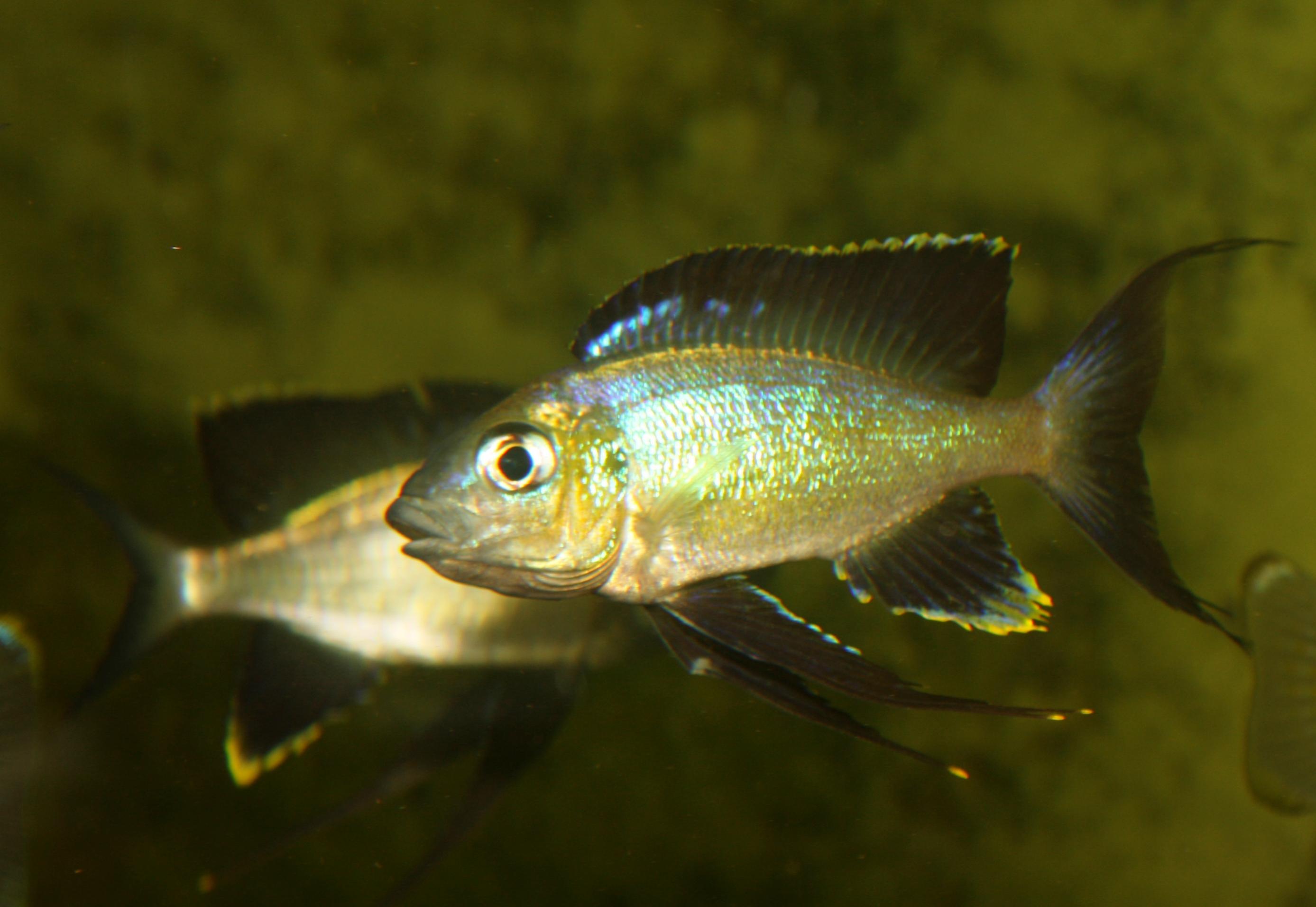 IMG_2935 kopia.jpg