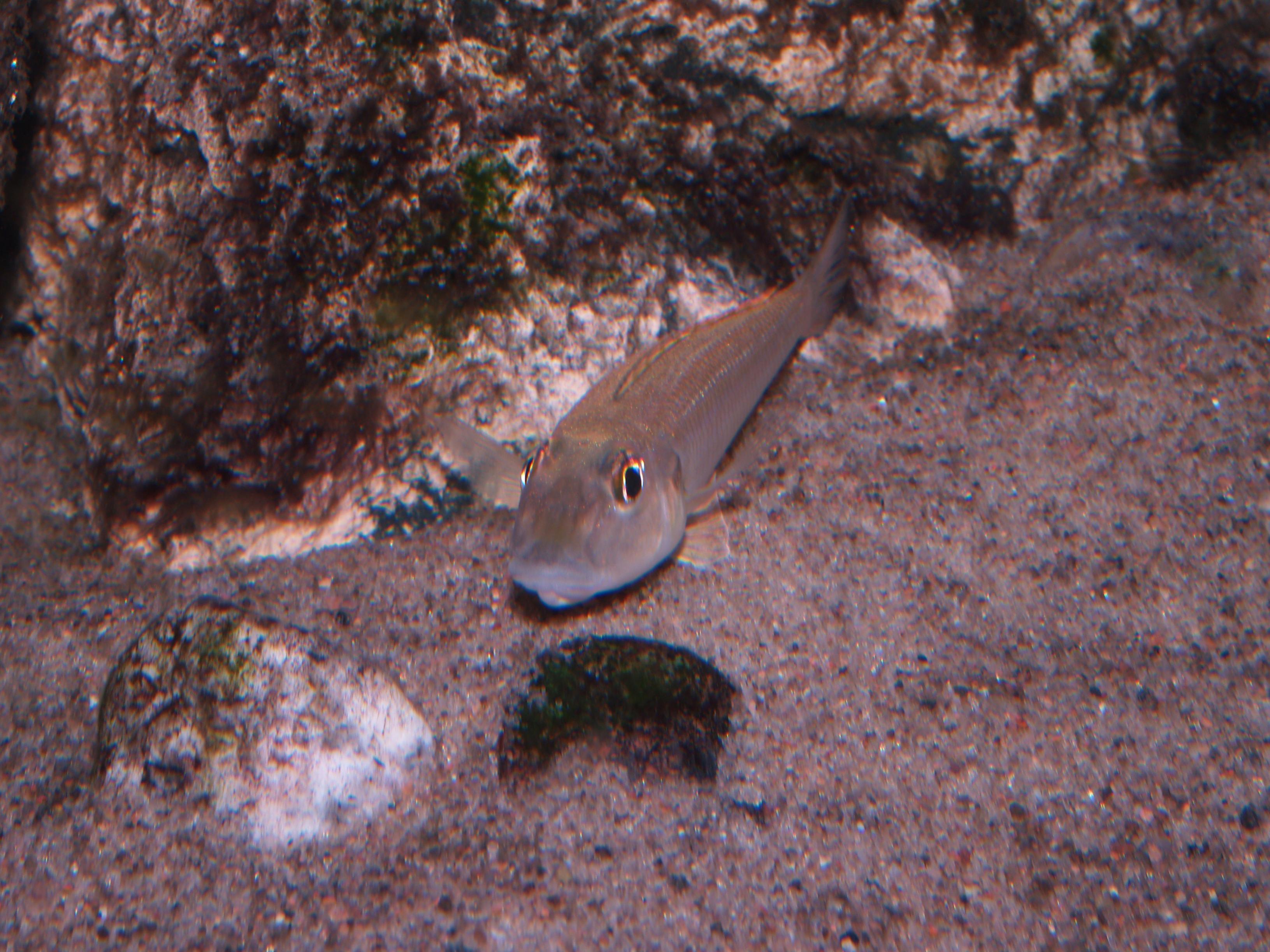 P1023316.jpg
