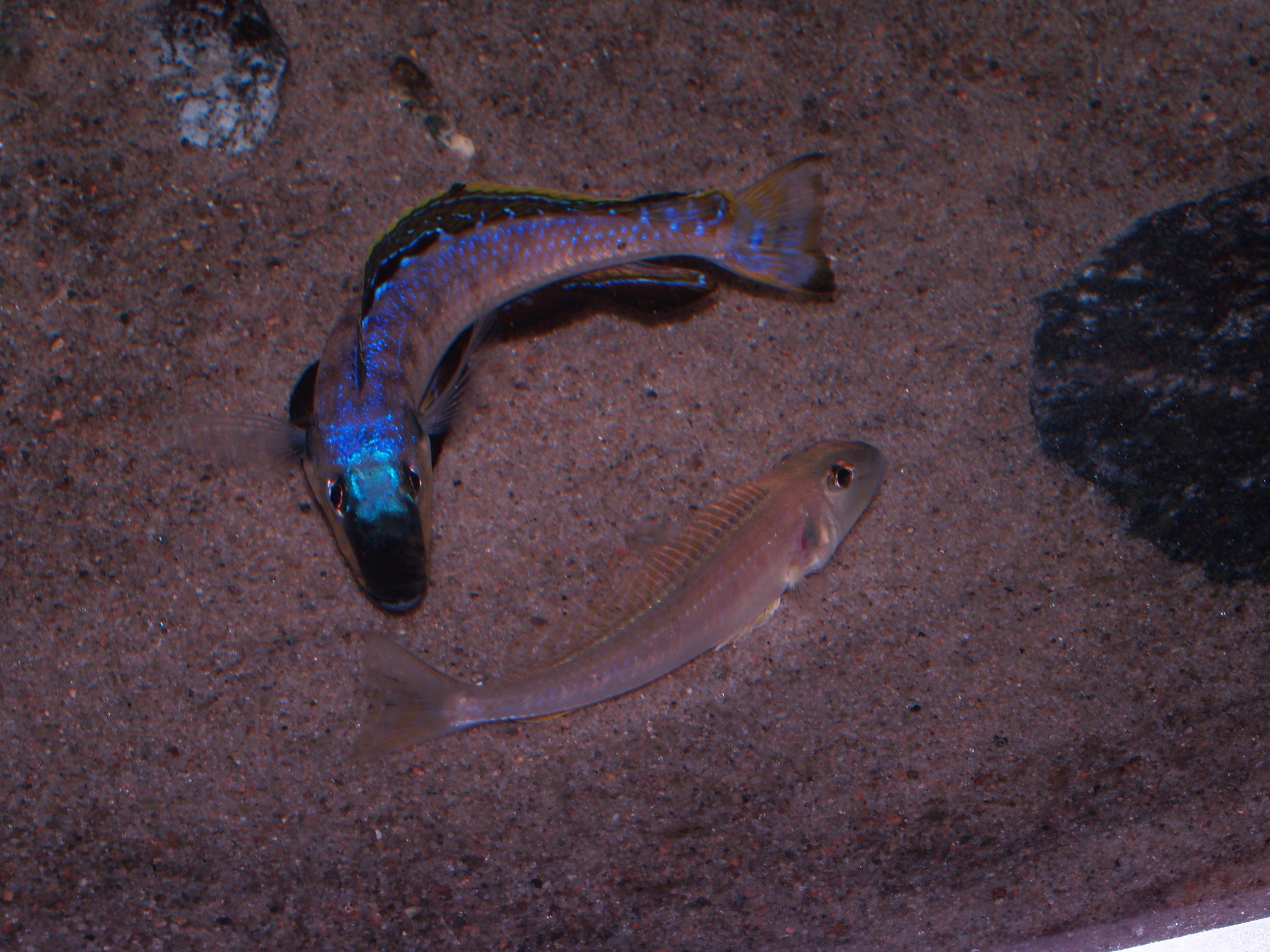 P1023305.jpg