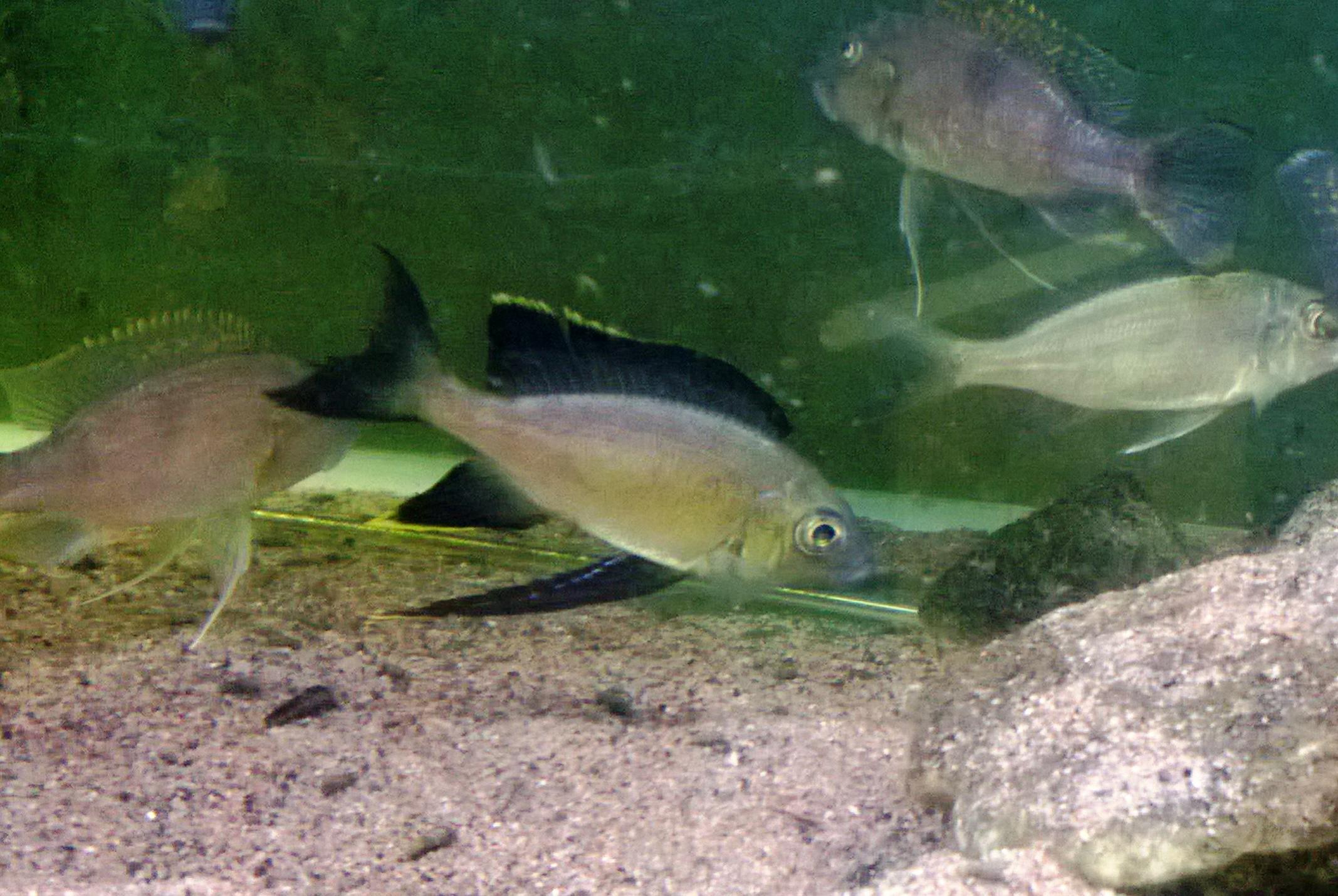 WP_20130104_045.jpg