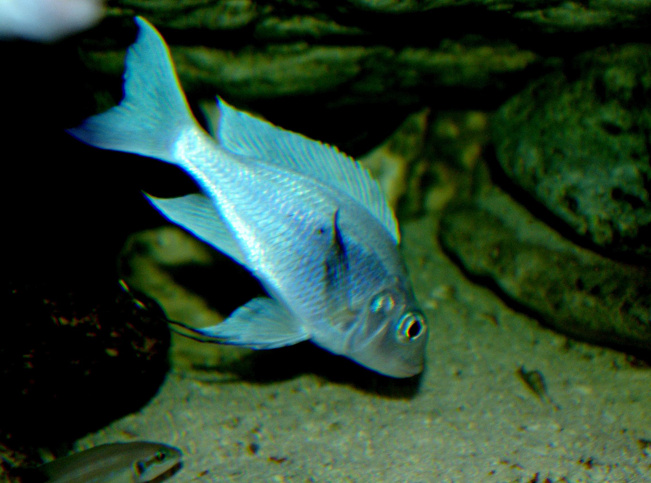 IMGP3406.jpg