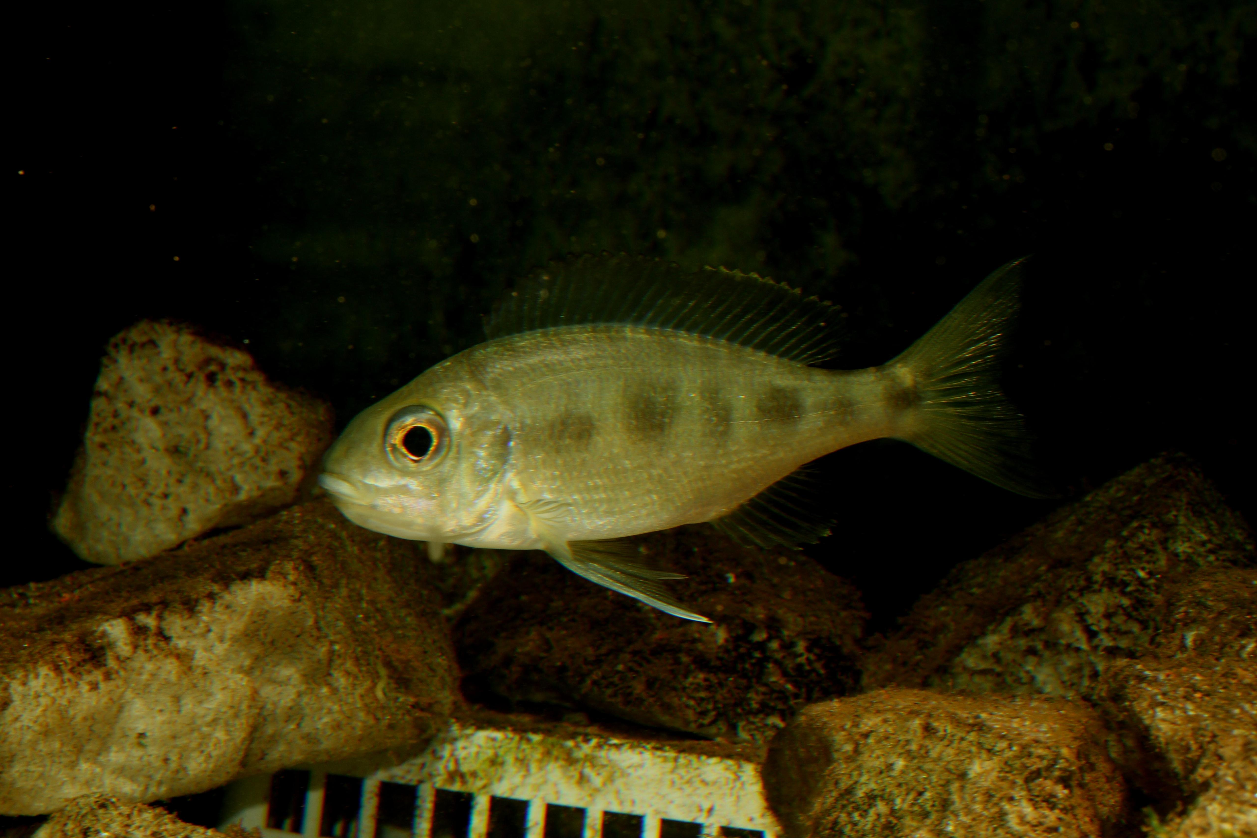 IMG_3854 - Kopia.jpg